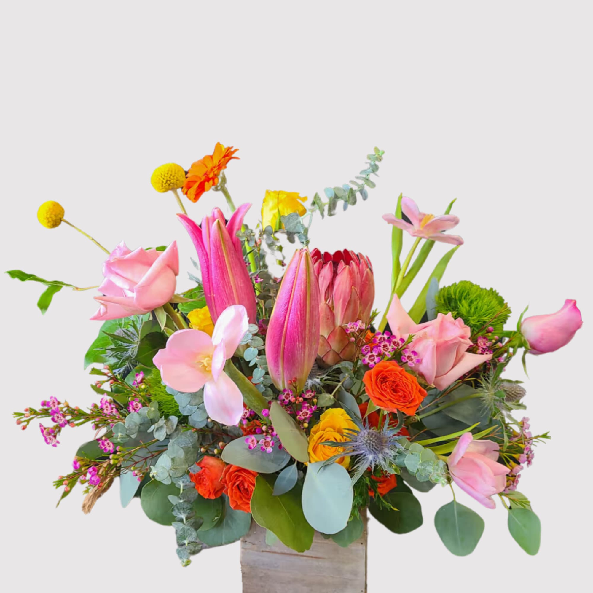 Charming and full of life, The Bonnie is an arrangement that blends