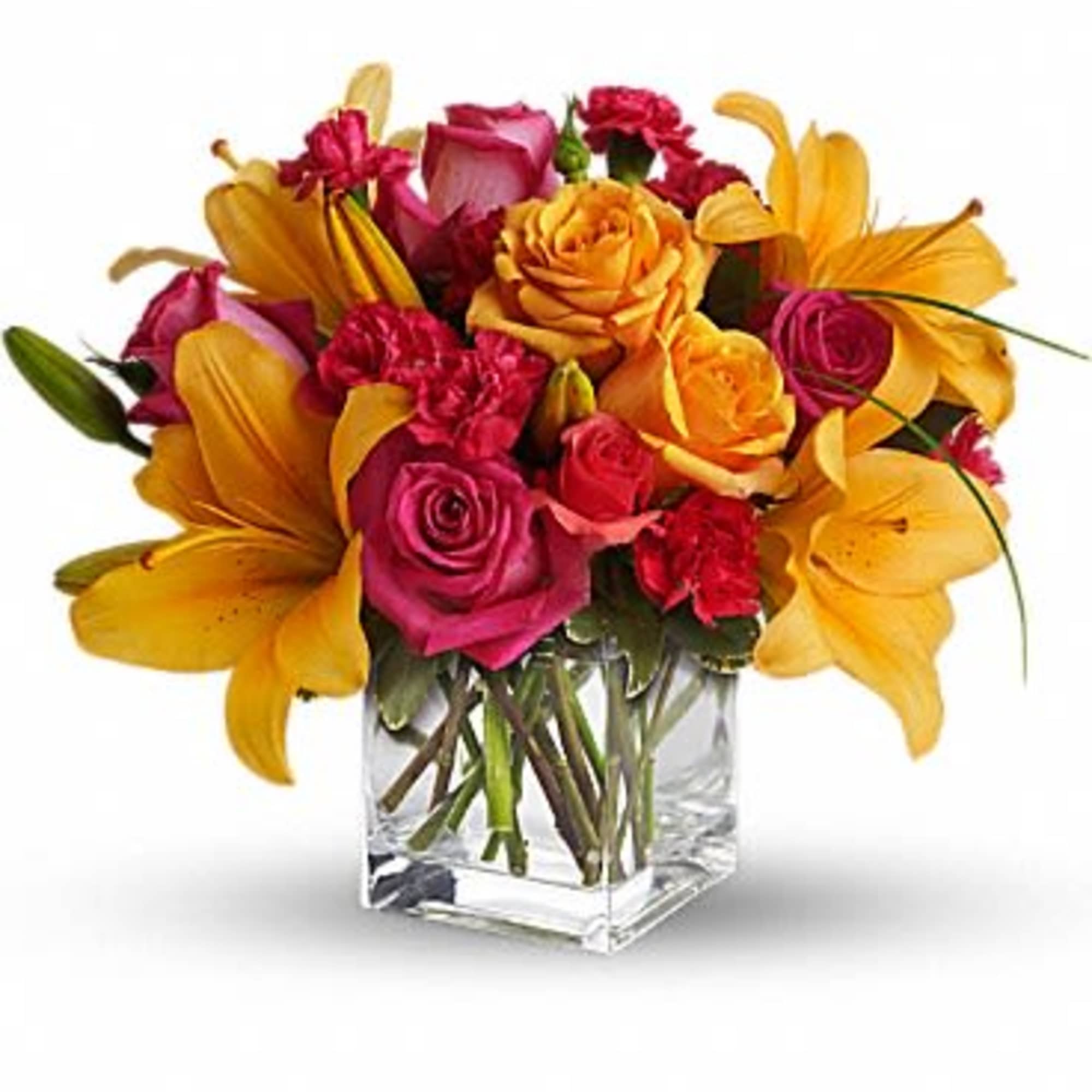 Tres chic! Send that special someone a stylish sentiment with the bright