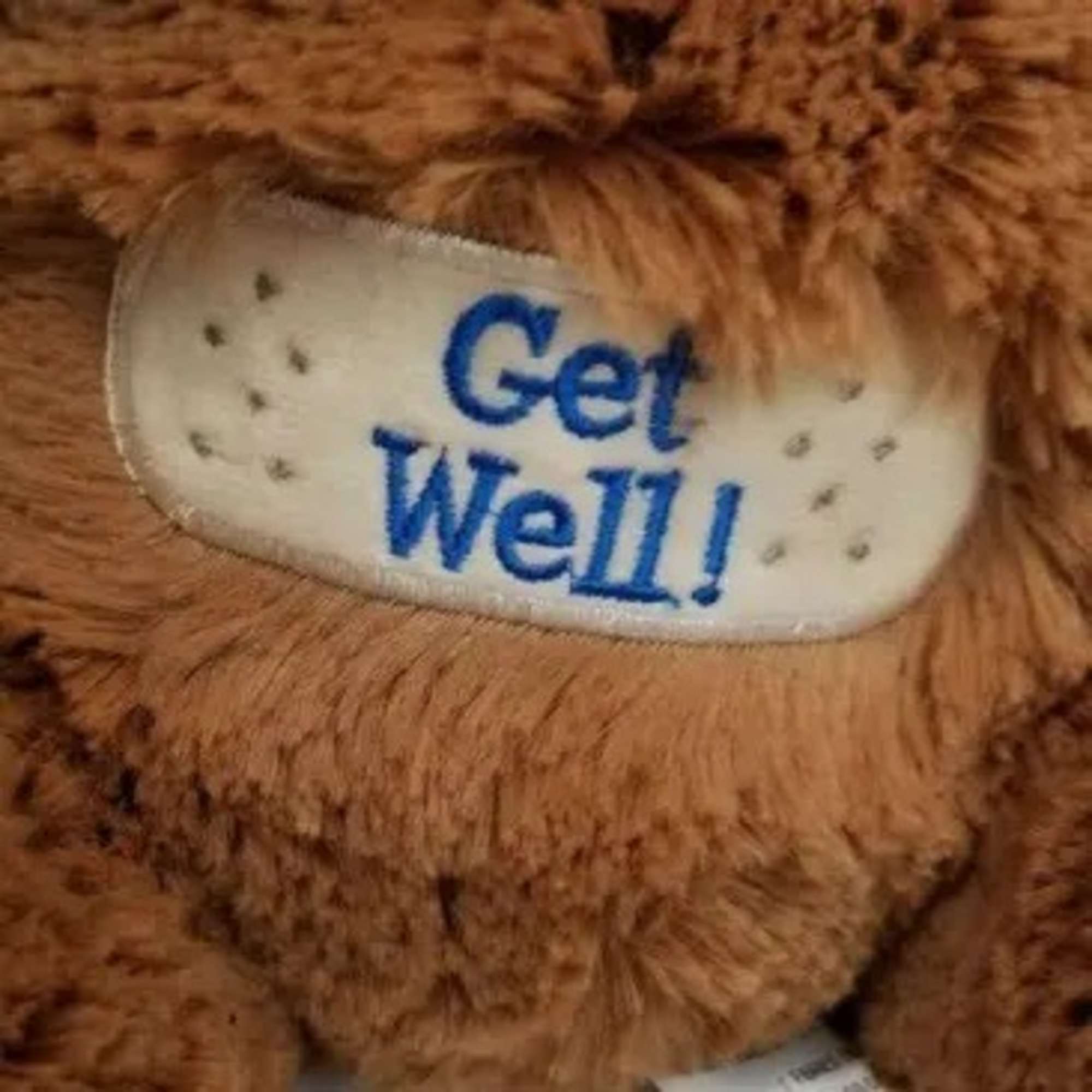 10 inch &quot;Get Well&quot; Plush Bear (style vary)