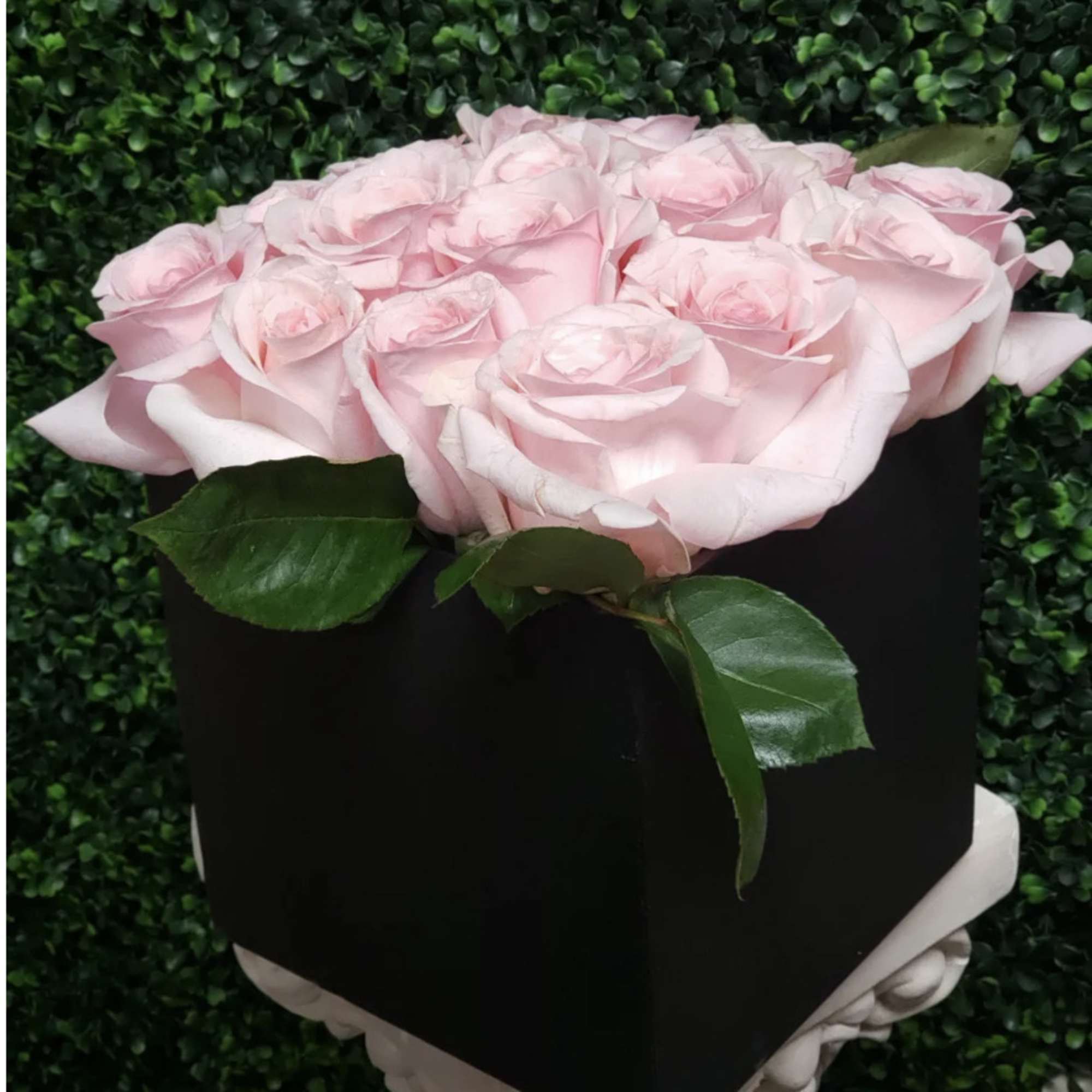 12 (standard) or 24 Deluxe  Pink Roses placed in a decorative