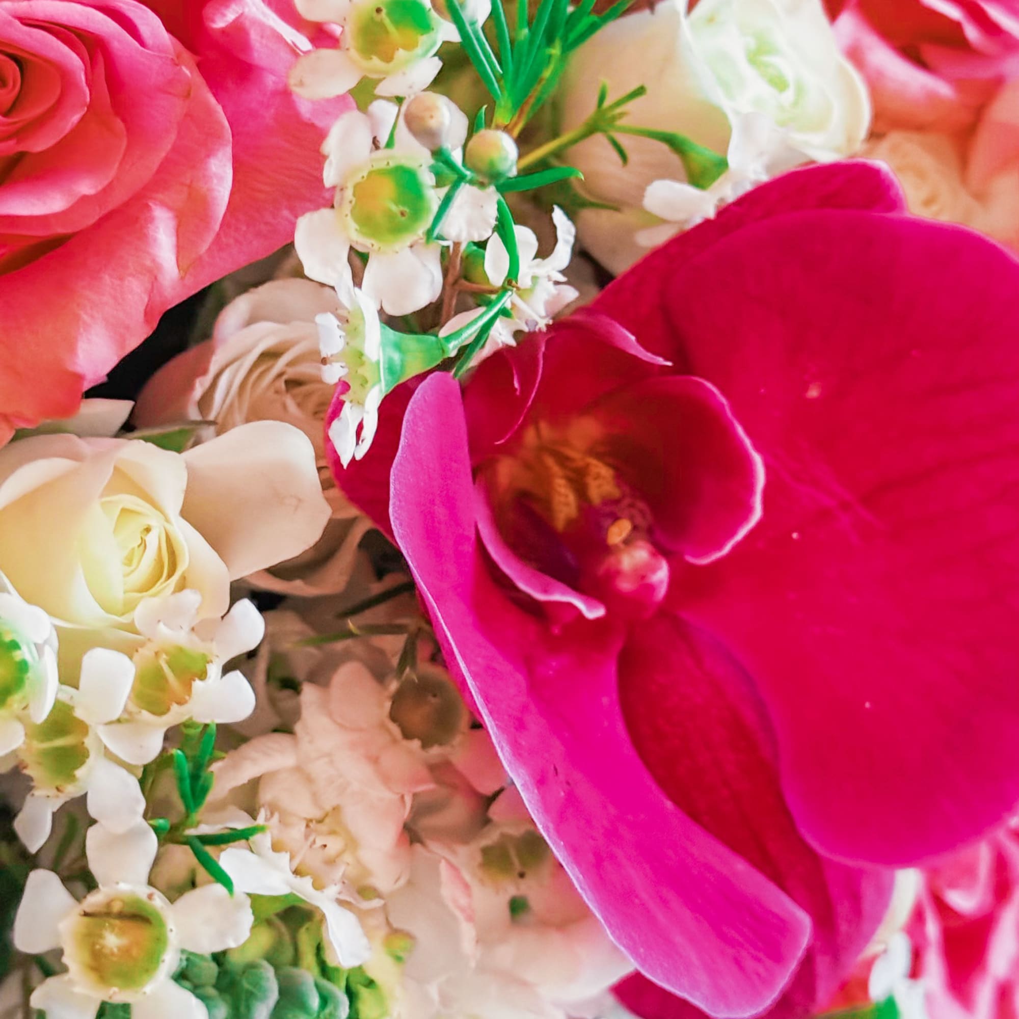 Imagine walking through the warm streets of LA, the golden hour casting Imagine walking through the warm streets of LA, the golden hour casting