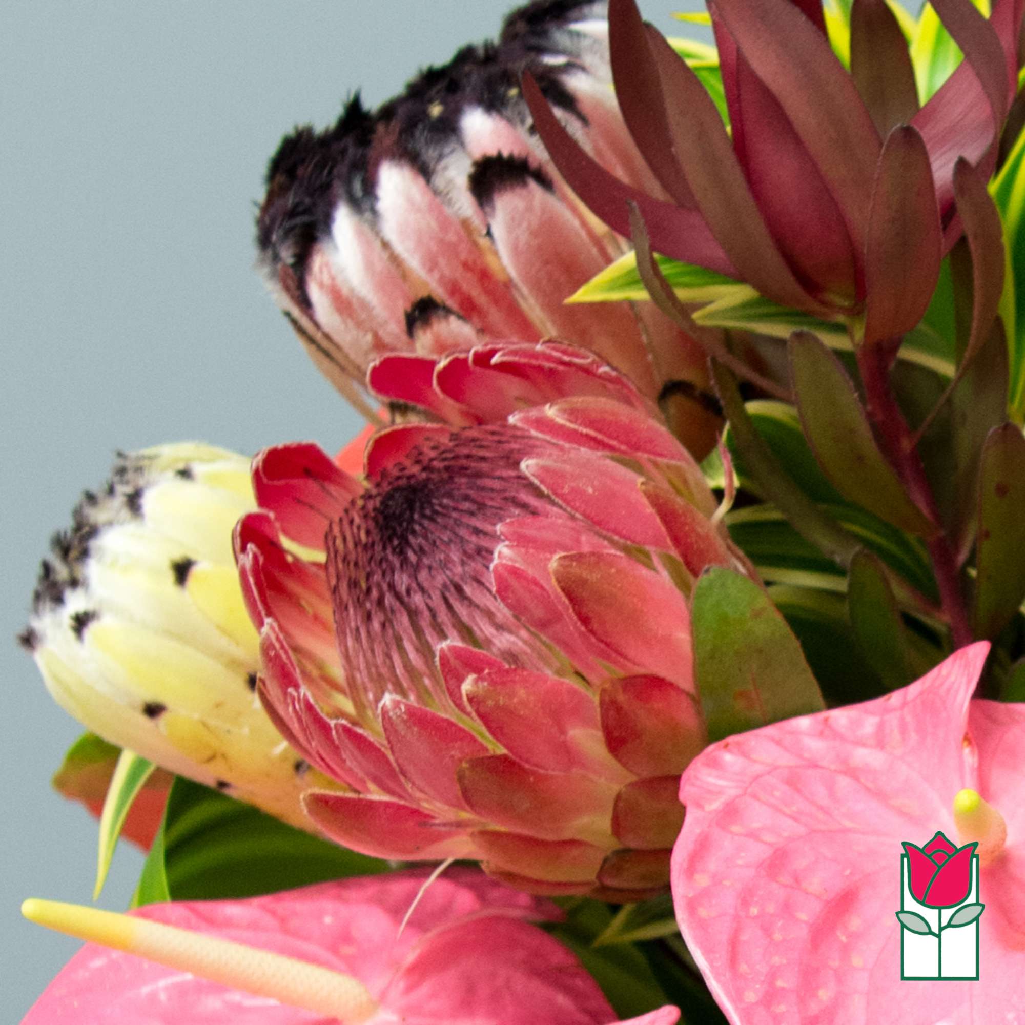 The Beretania Florist Tradewinds Tropical Bouquet is a beautiful bouquet that anyone
