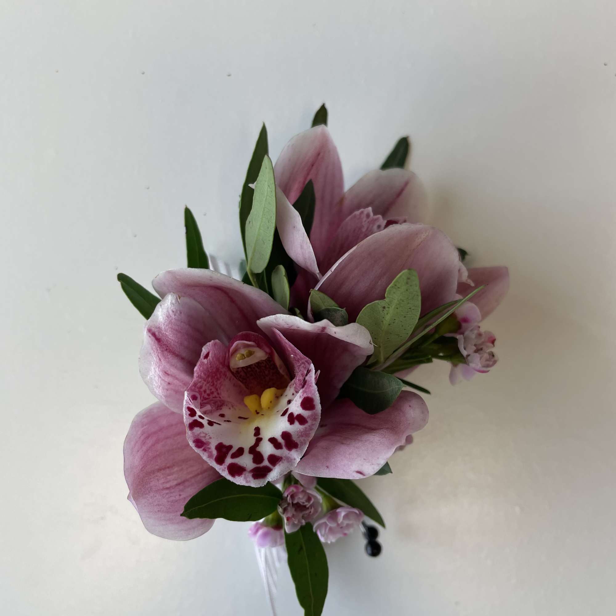 A beautiful Mini Cymbidium Orchid Corsage for Prom or Homecoming boys.
