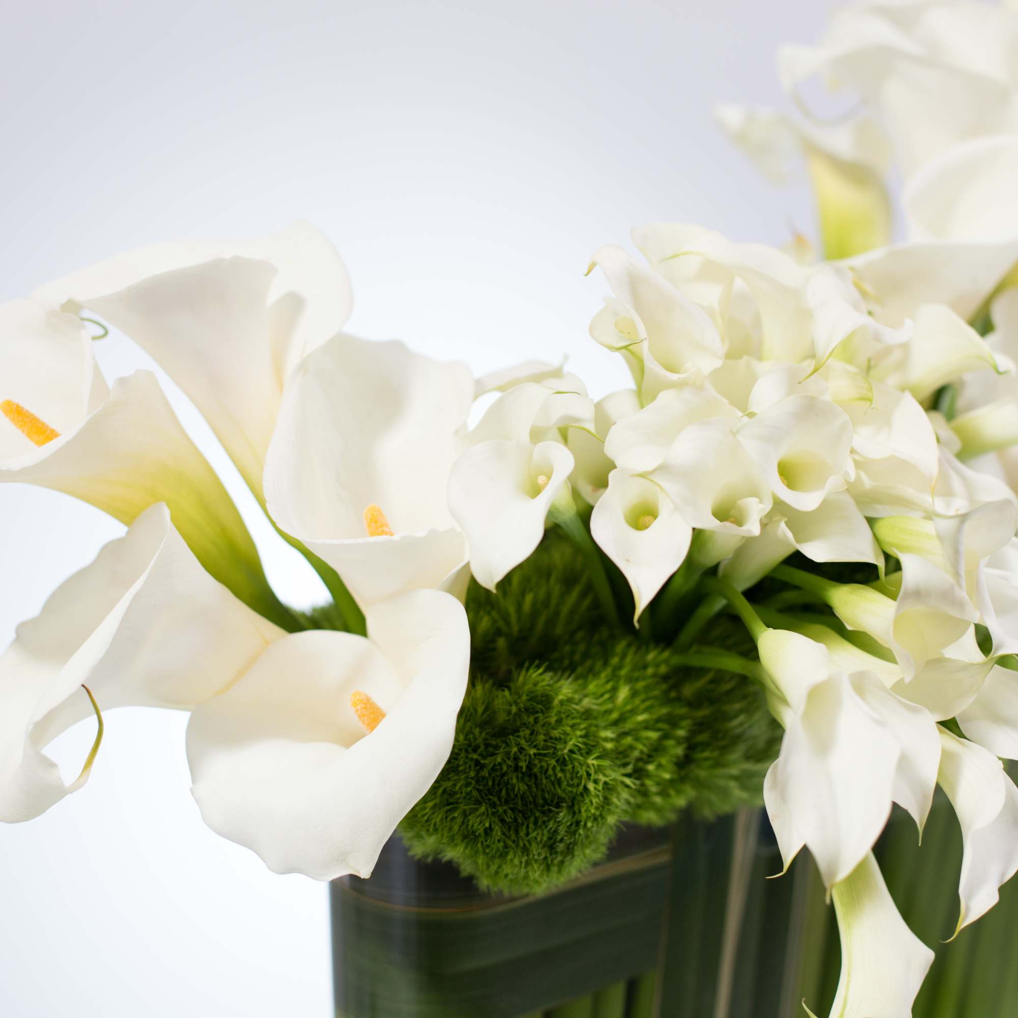 A large arrangement with a beautifully sculptured swoop of Calla Lillies and