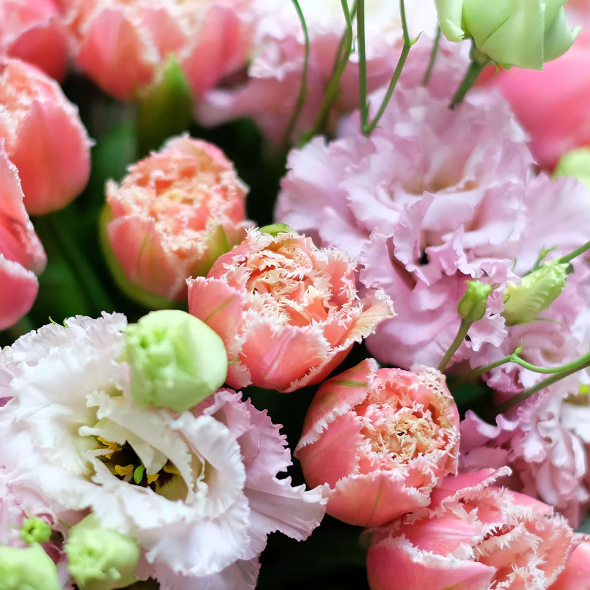 Send beautiful  flowers to celebrate Spring day! 



We take pride in