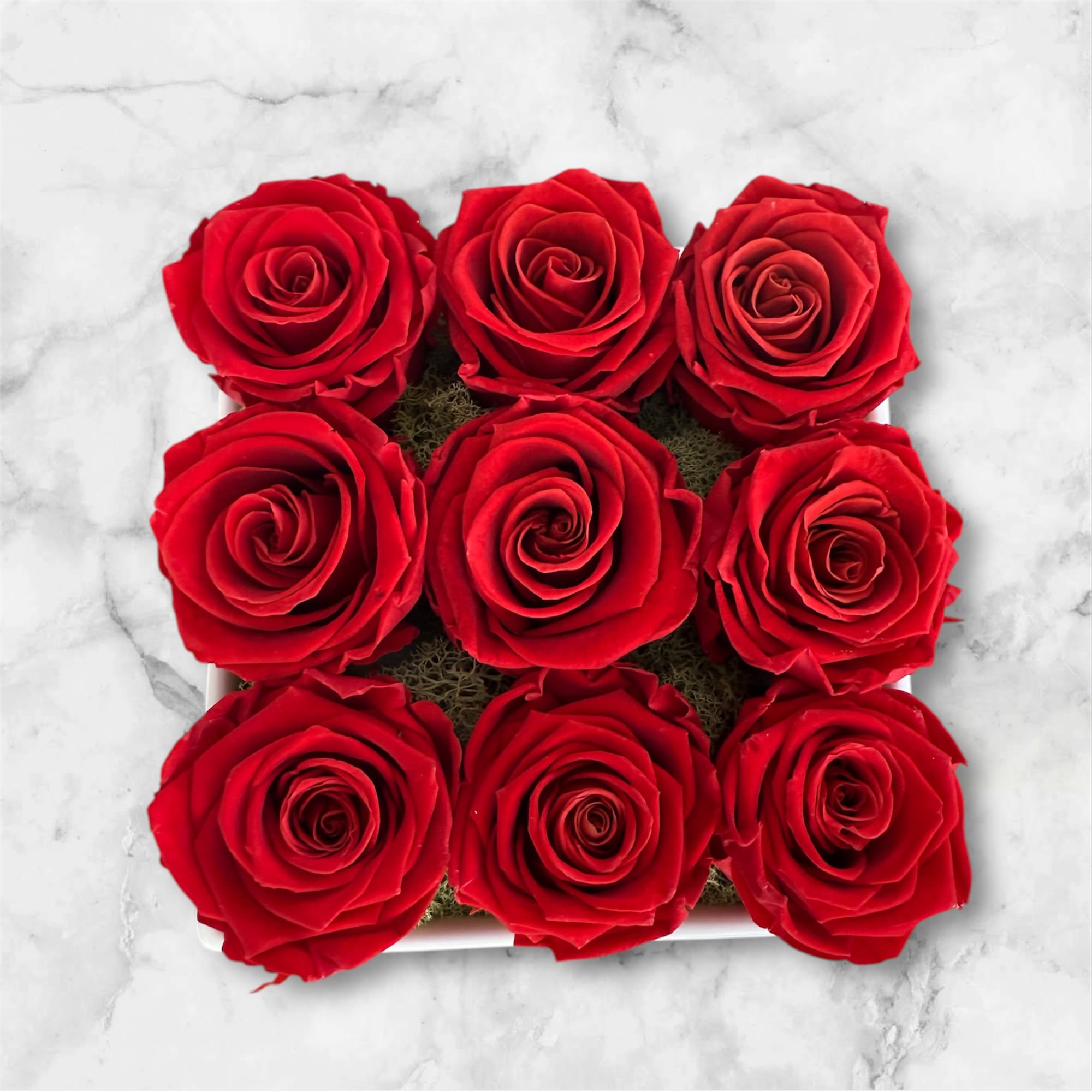 This elegant arrangement features nine vibrant, preserved red roses, artfully arranged in This elegant arrangement features nine vibrant, preserved red roses, artfully arranged in