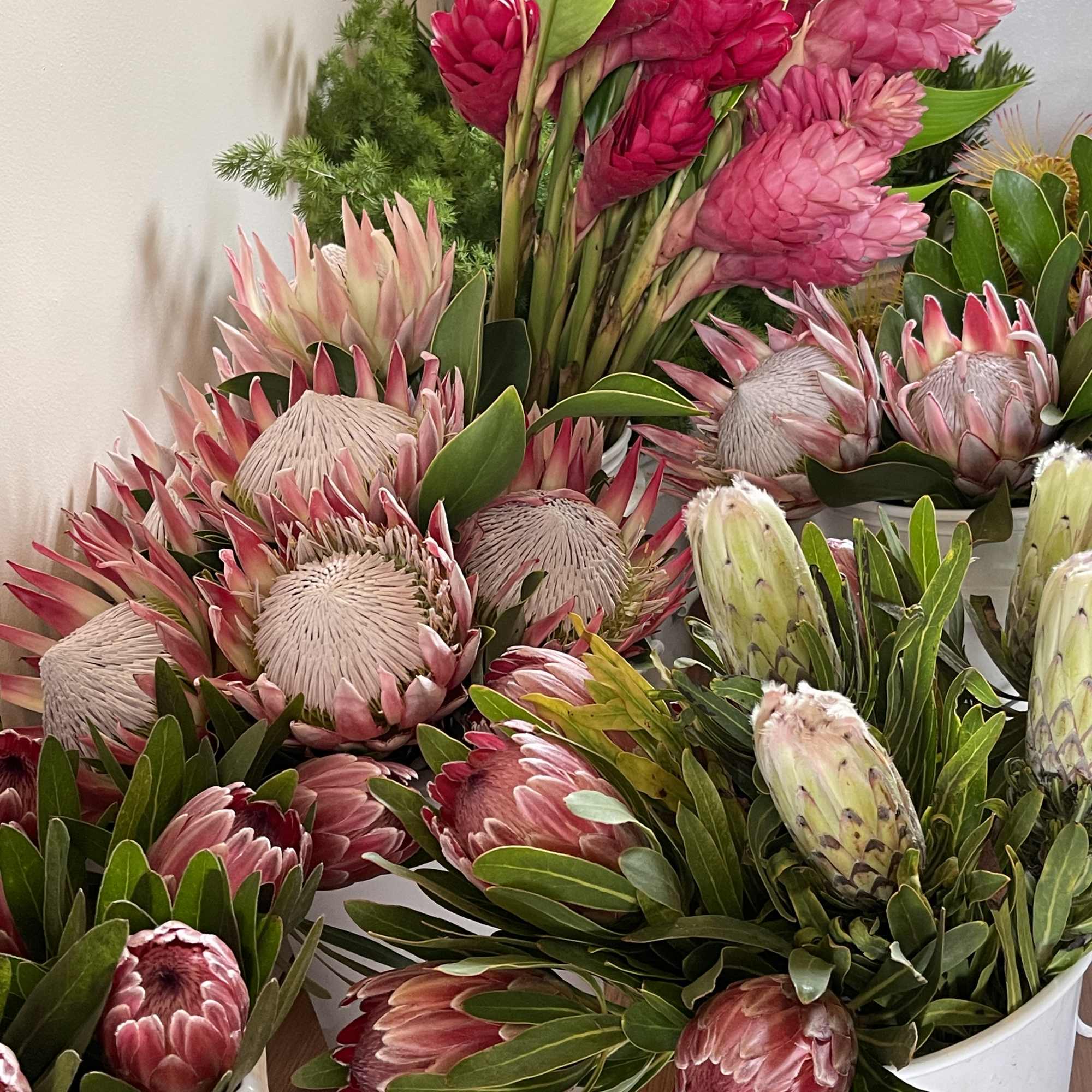 Fresh Cut flowers straight from the farm and shipped to your door