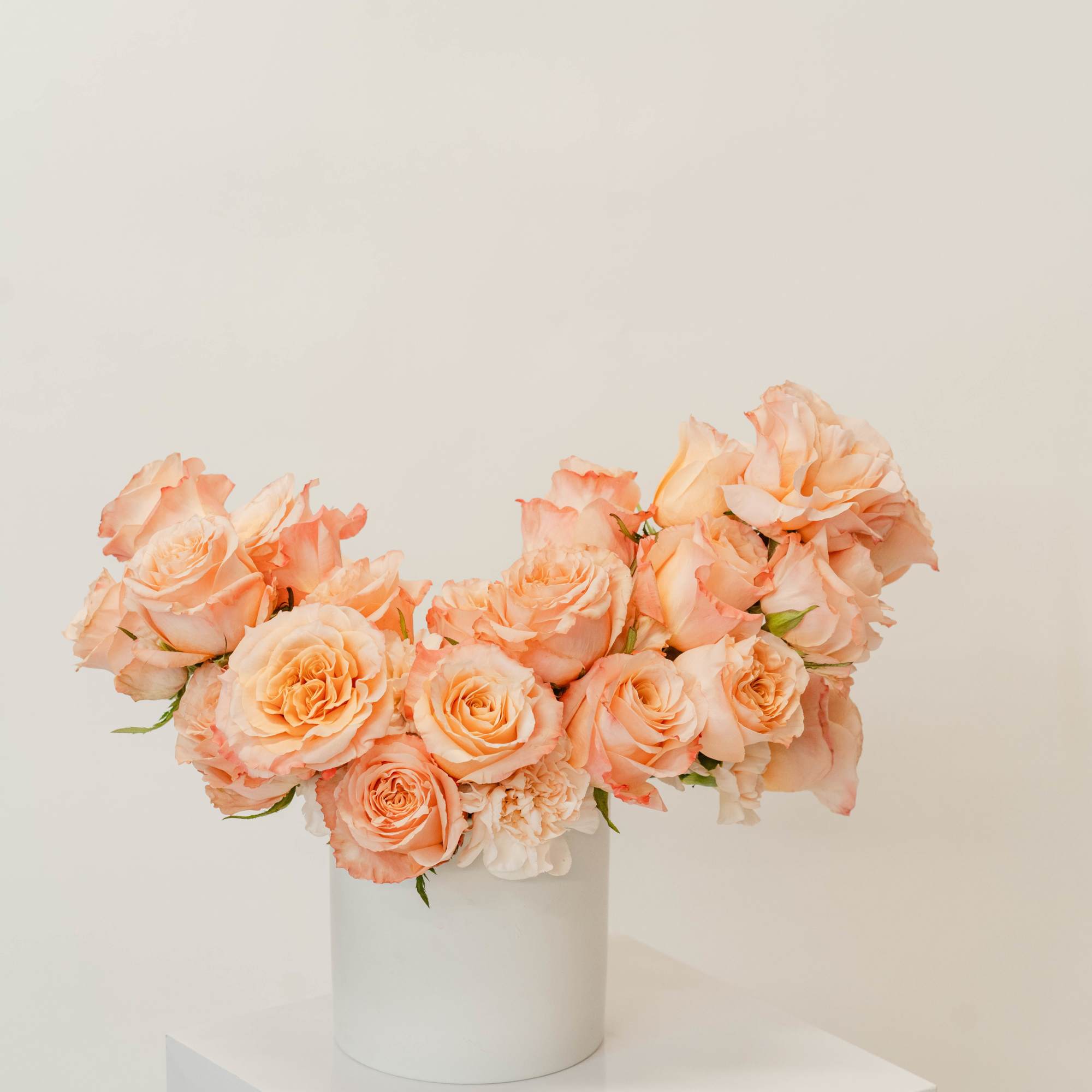 Two dozen roses, in your choice of color, designed with a modern