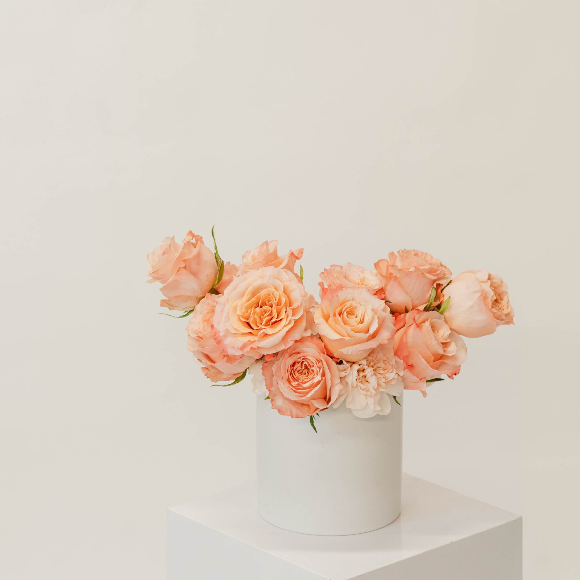 One dozen roses, in your choice of color, designed with a modern