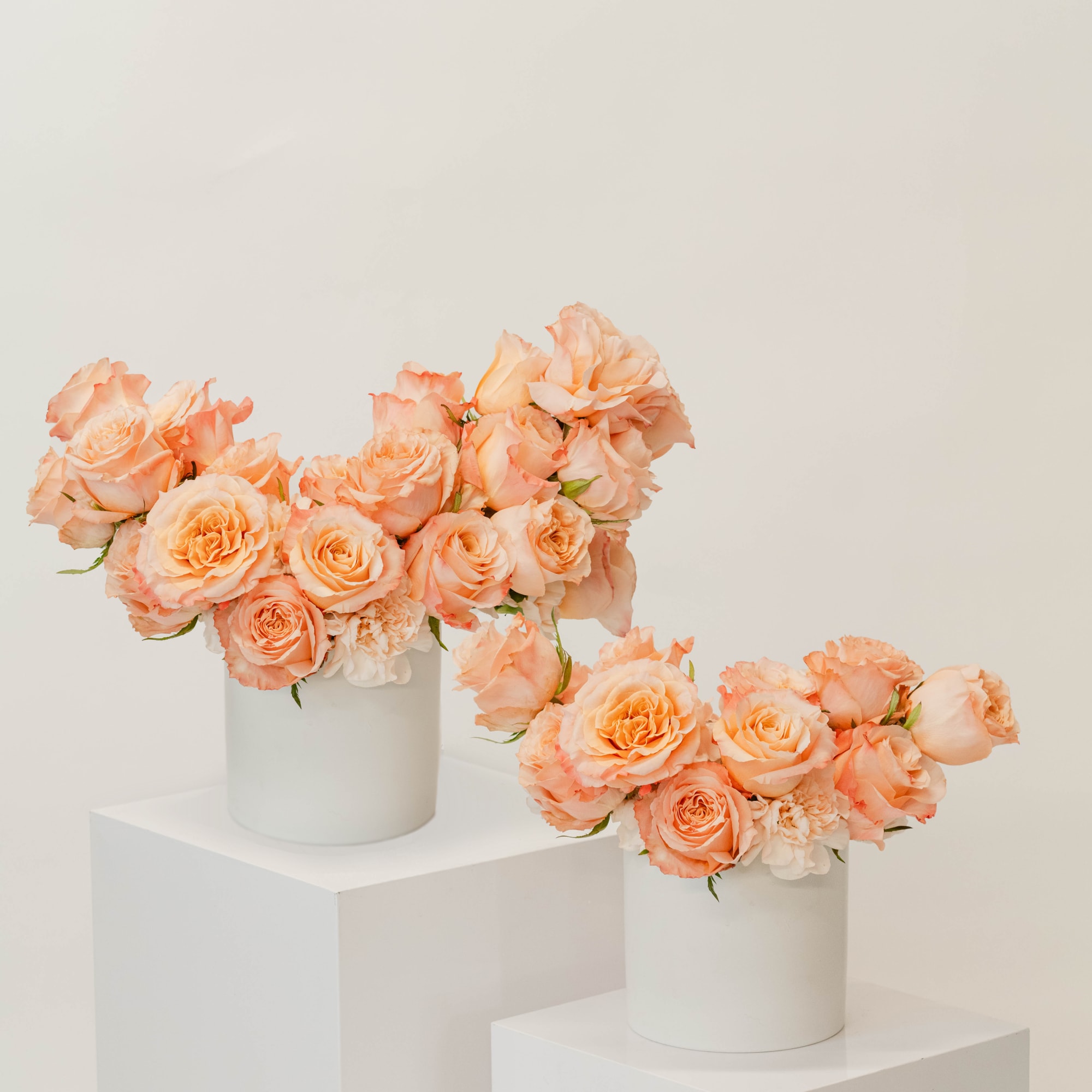 One dozen roses, in your choice of color, designed with a modern