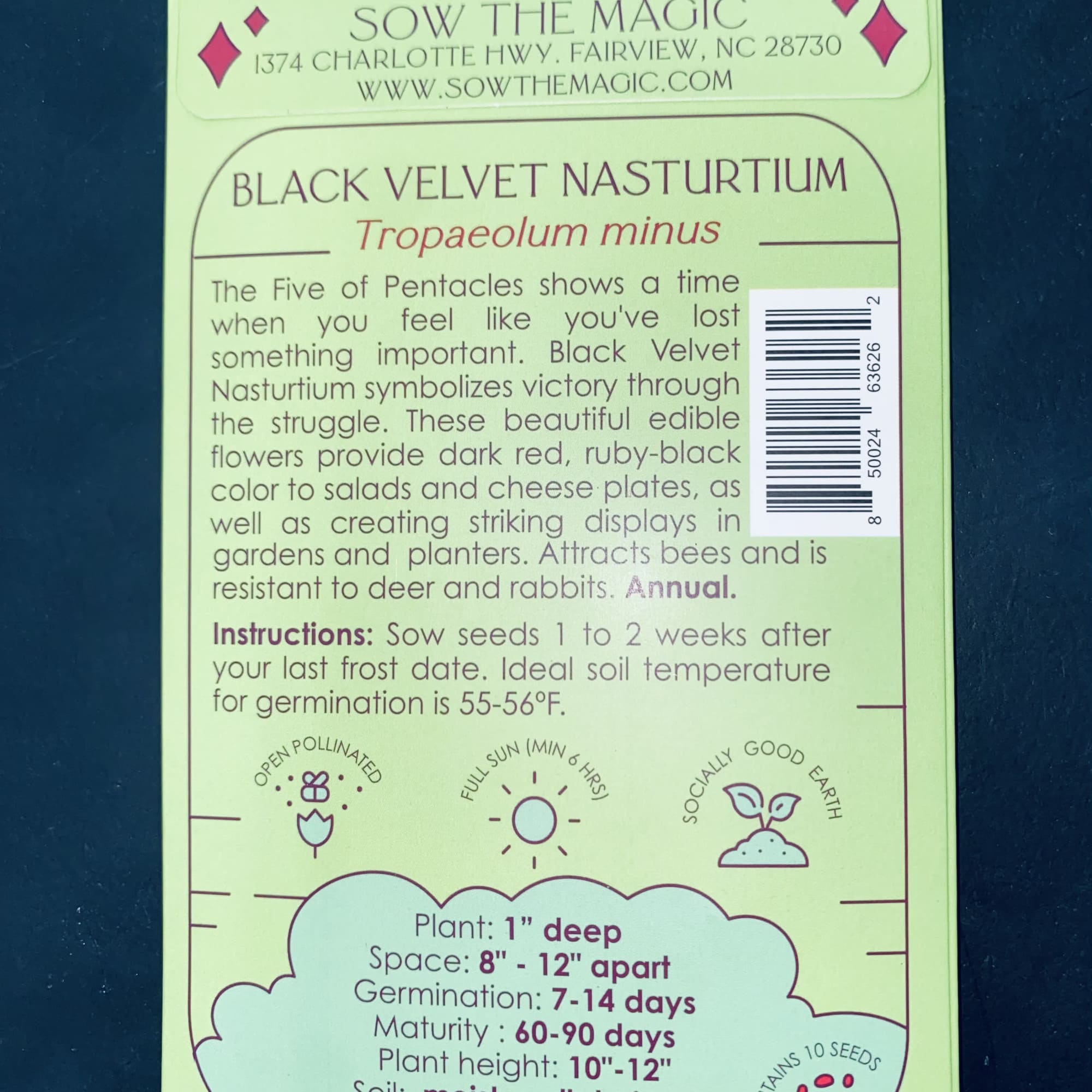 Black Velvet Nasturtium symbolizes victory through the struggle.