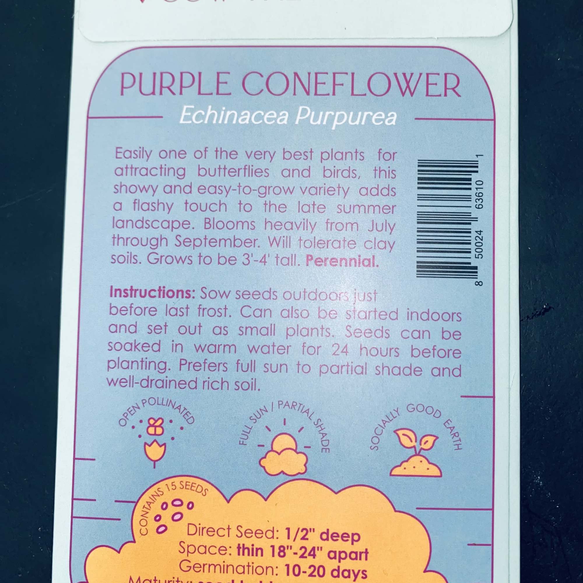 Purple Coneflower attracts birds and butterflies! Blooms July through September!