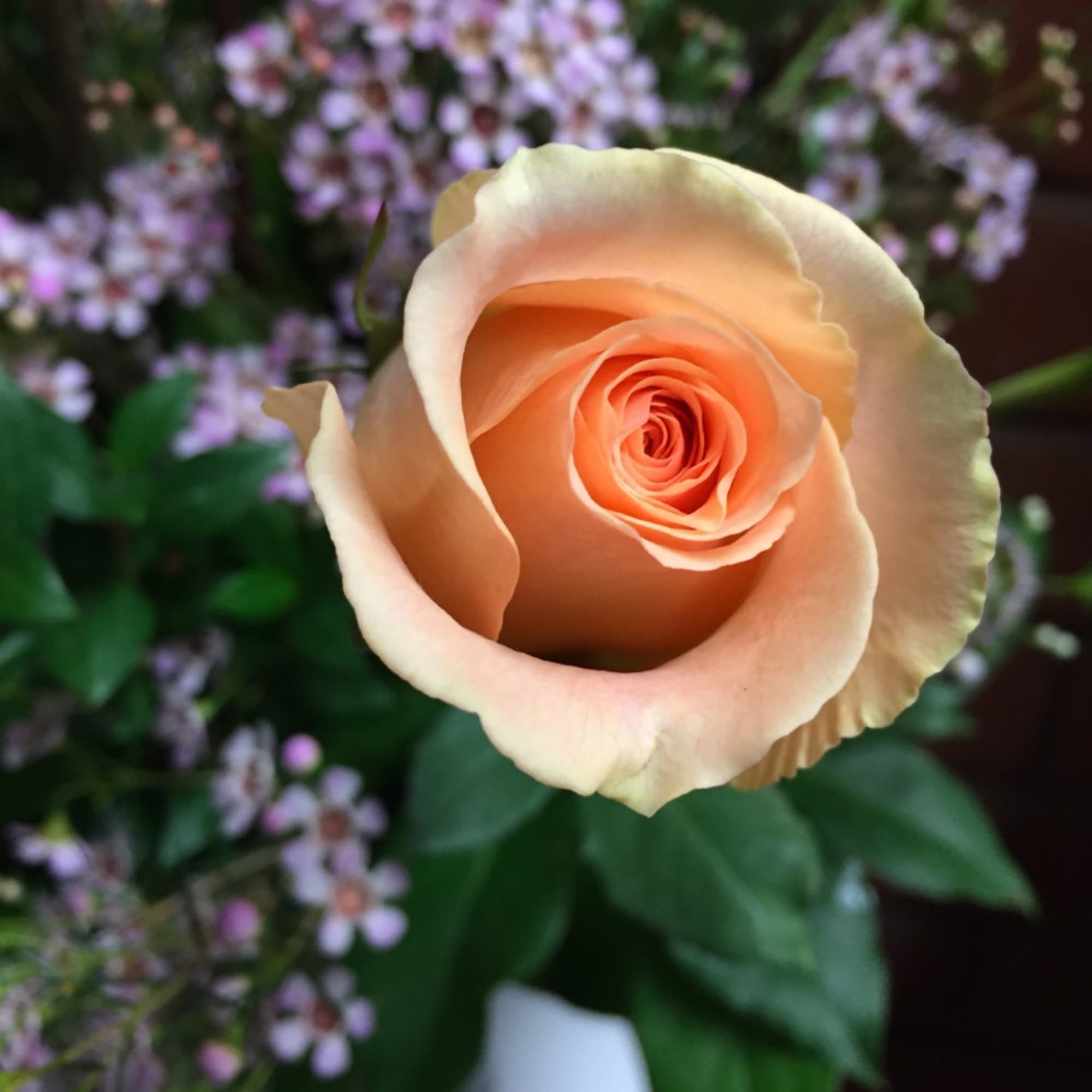 Show that special person how enthusiastic you are about them being in