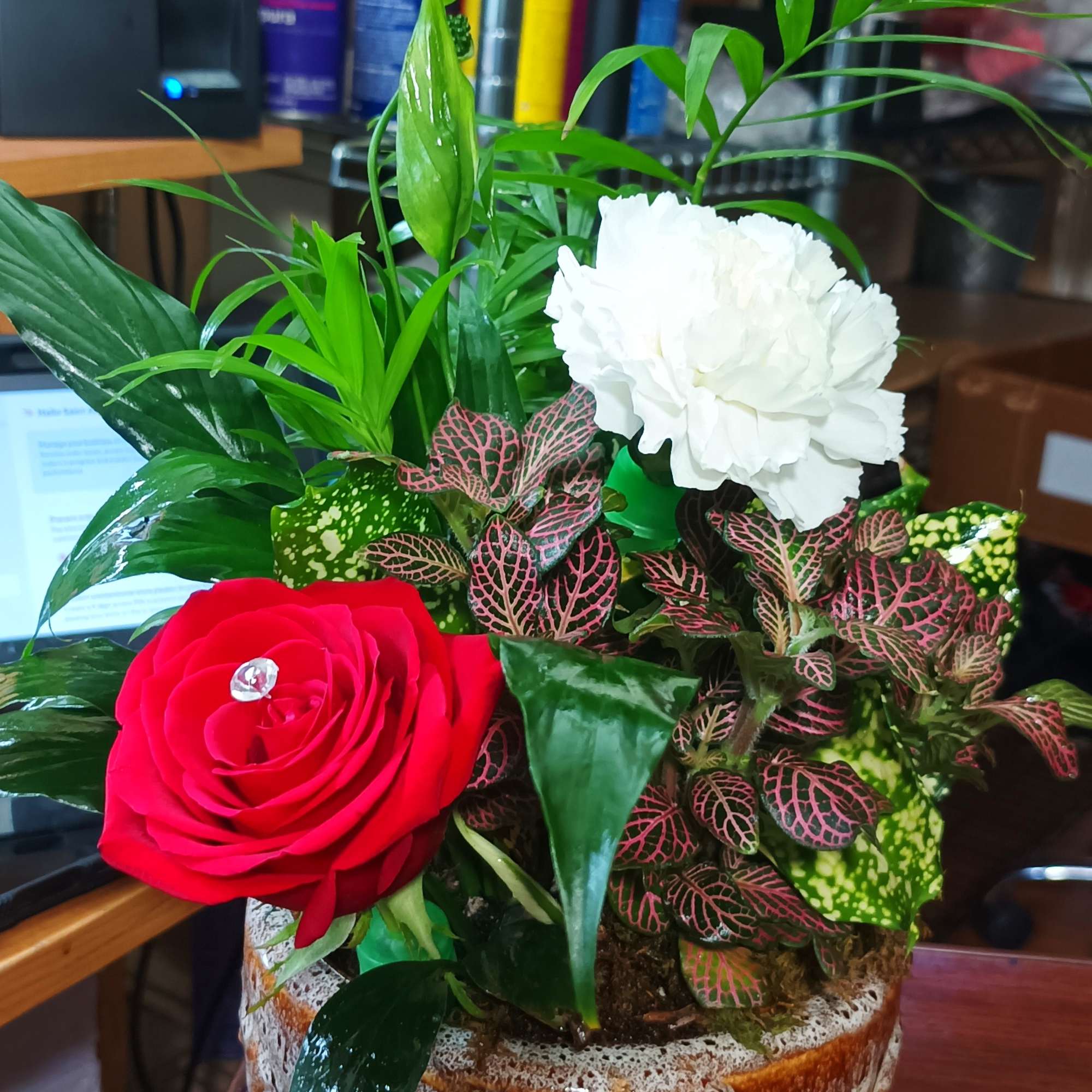 Decorated dish garden with mixed green plants and decorated with fresh flowers. Decorated dish garden with mixed green plants and decorated with fresh flowers.