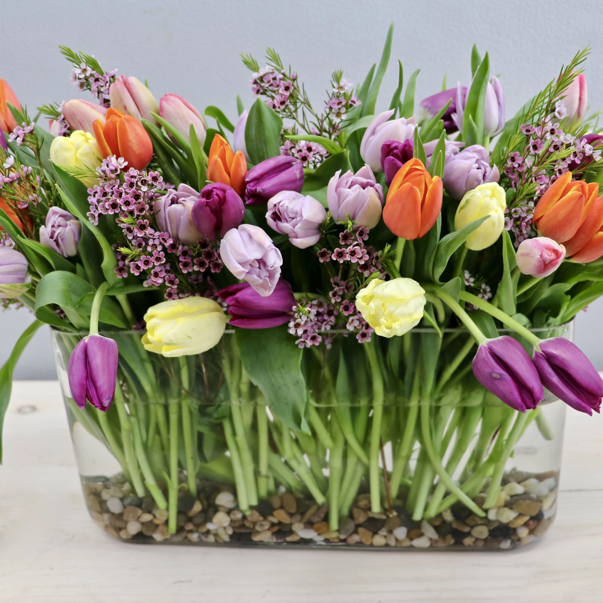 Tulips really make a special gift. With approximately 50 stems of tulips