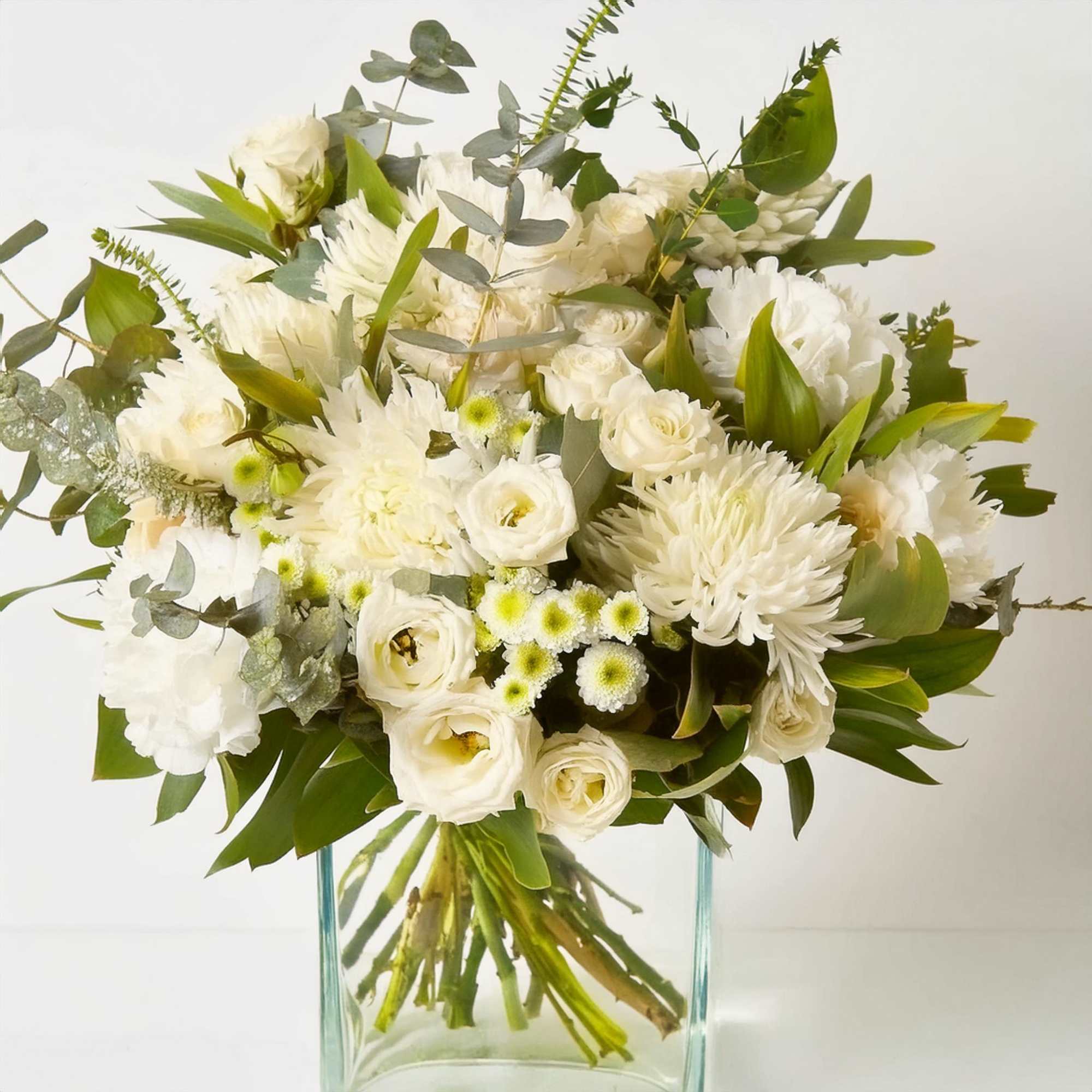 Introducing the White Elegance by Life That Blooms, a sophisticated and serene Introducing the White Elegance by Life That Blooms, a sophisticated and serene