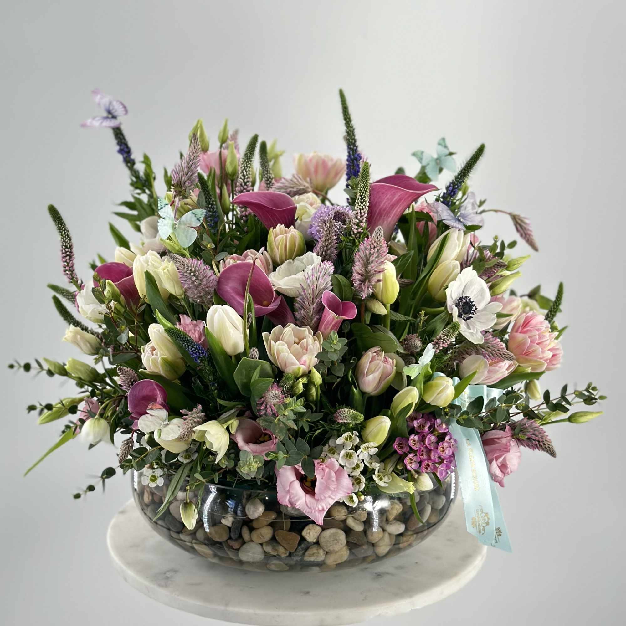 Spring Field in all its glory.  Spring Field in all its glory.