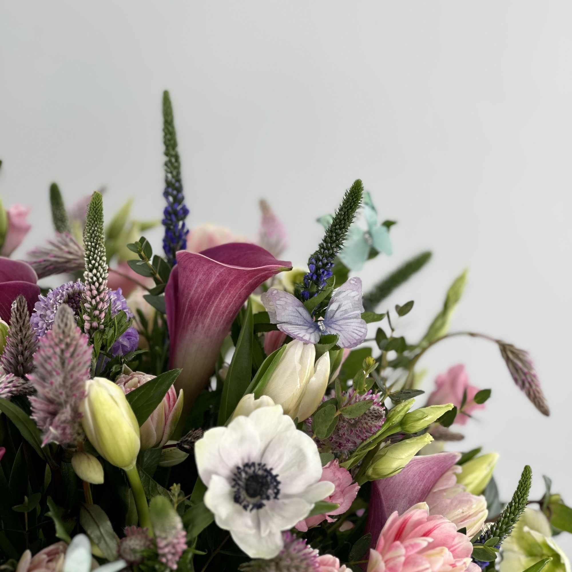 Spring Field in all its glory.  Spring Field in all its glory.