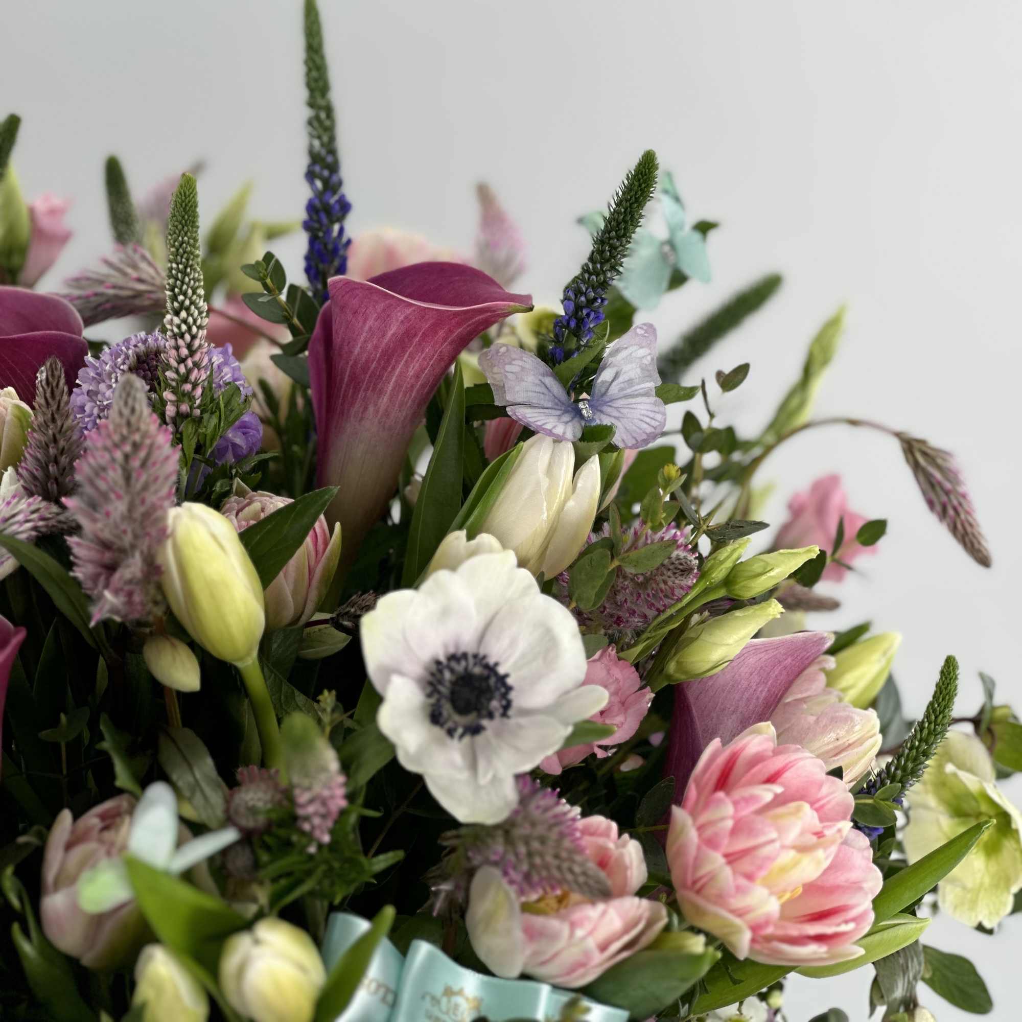 Spring Field in all its glory.  Spring Field in all its glory.