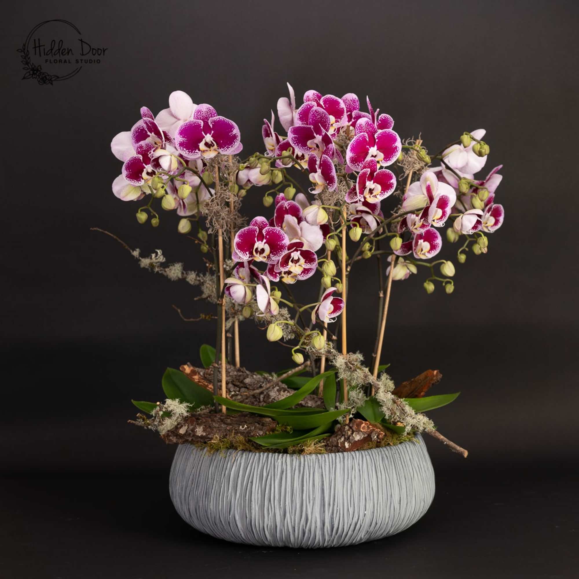 Introducing the Orchid Forest arrangement, an awe-inspiring masterpiece that invites the breathtaking