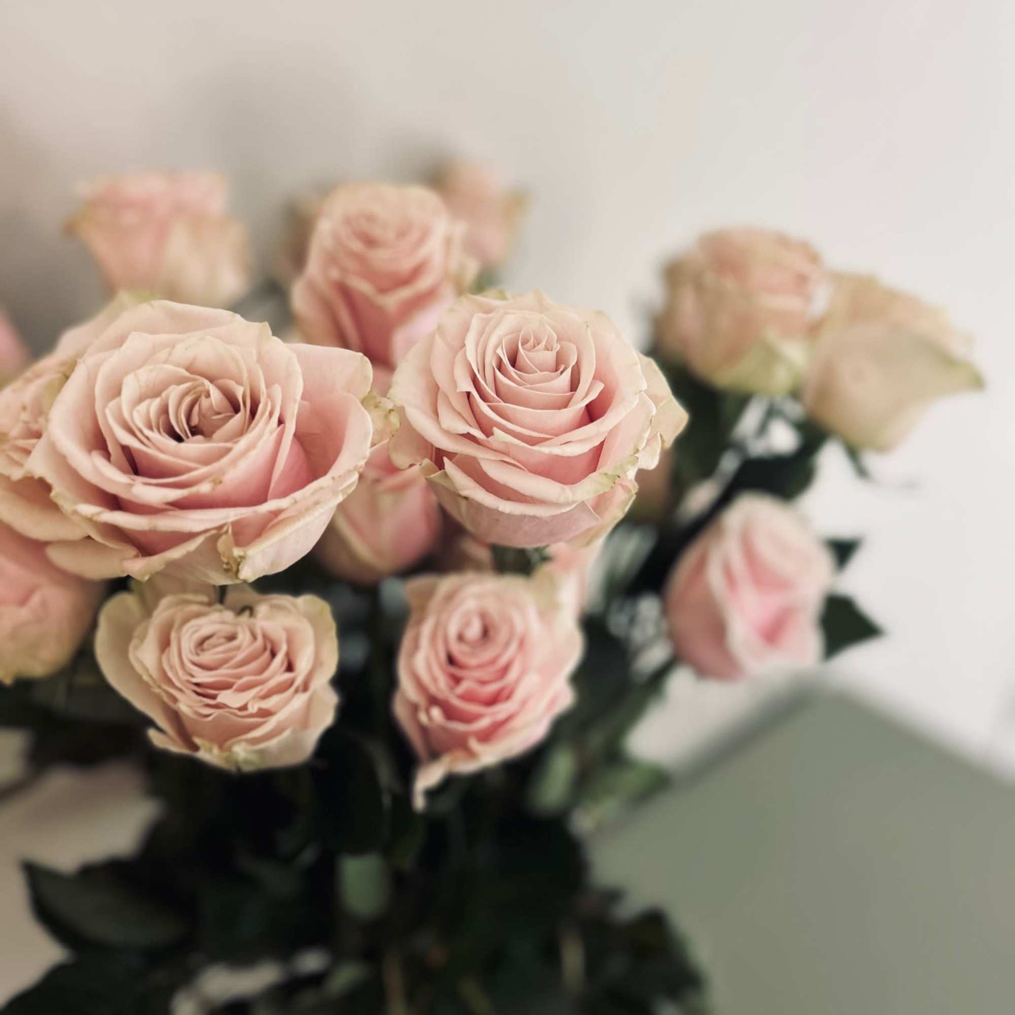 24 fresh cut roses of your color choice delicately arranged in an