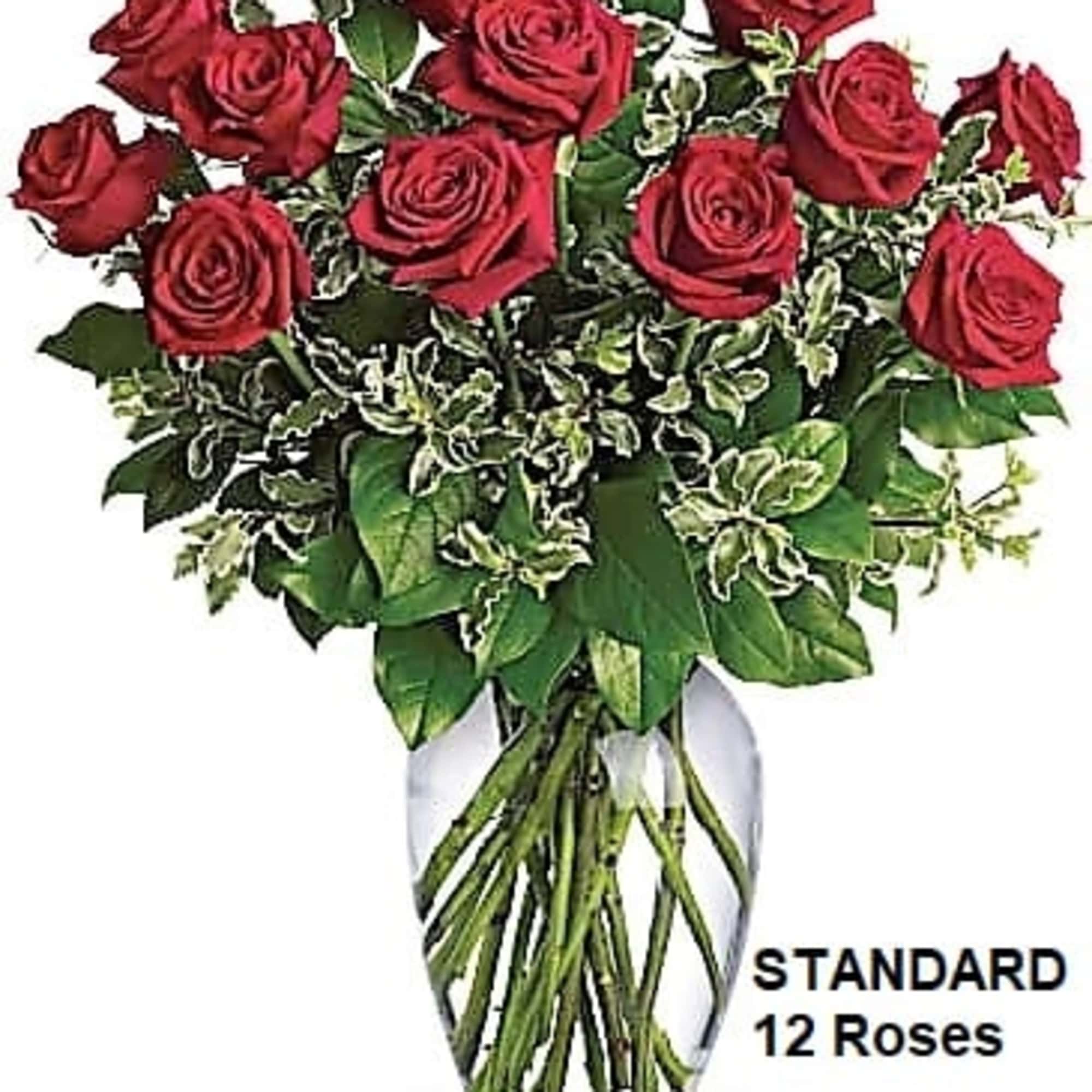 - AS SHOWN: 12 red roses arranged in a vase
- DELUXE: 18