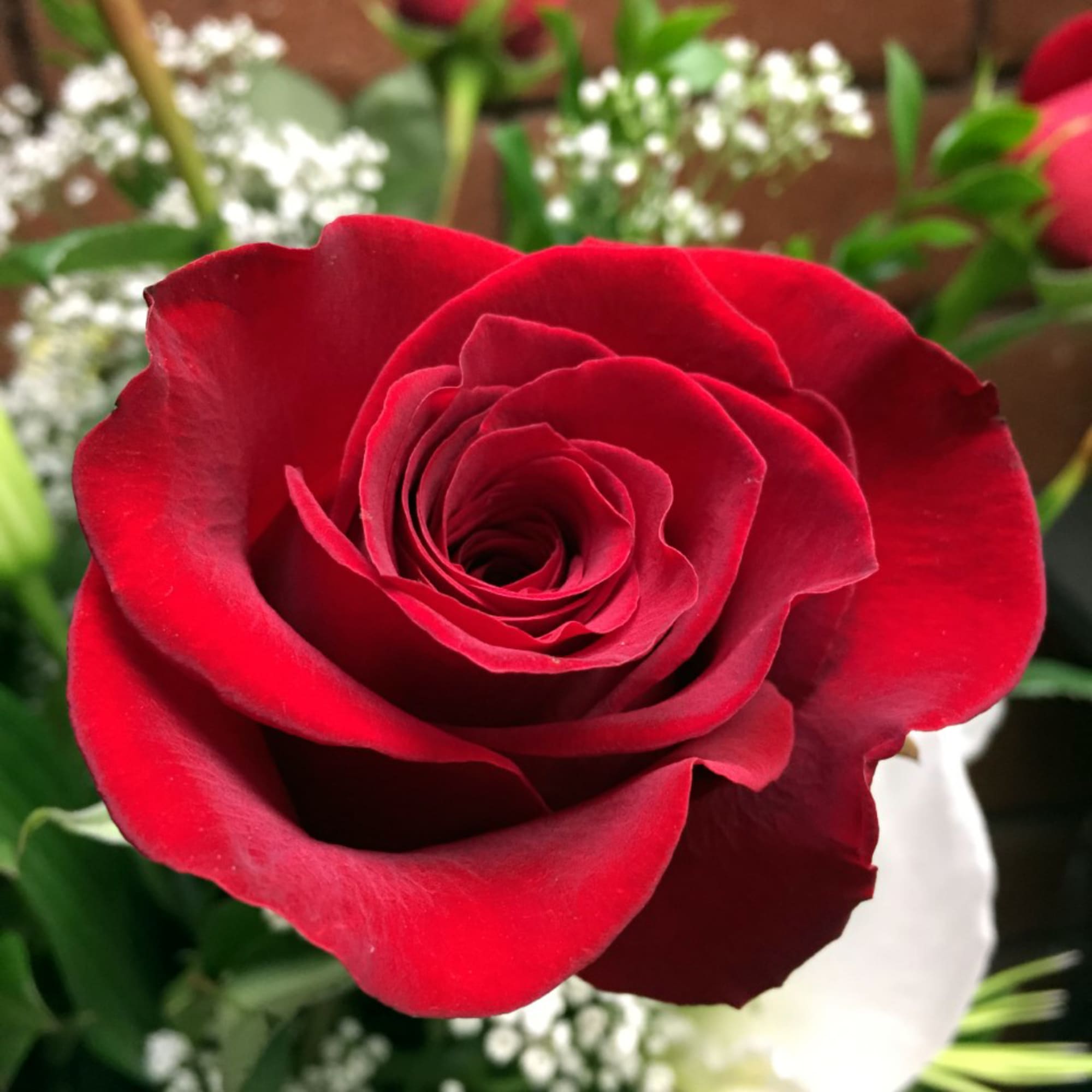 Fall in love all over again. This romantic bouquet of crisp White