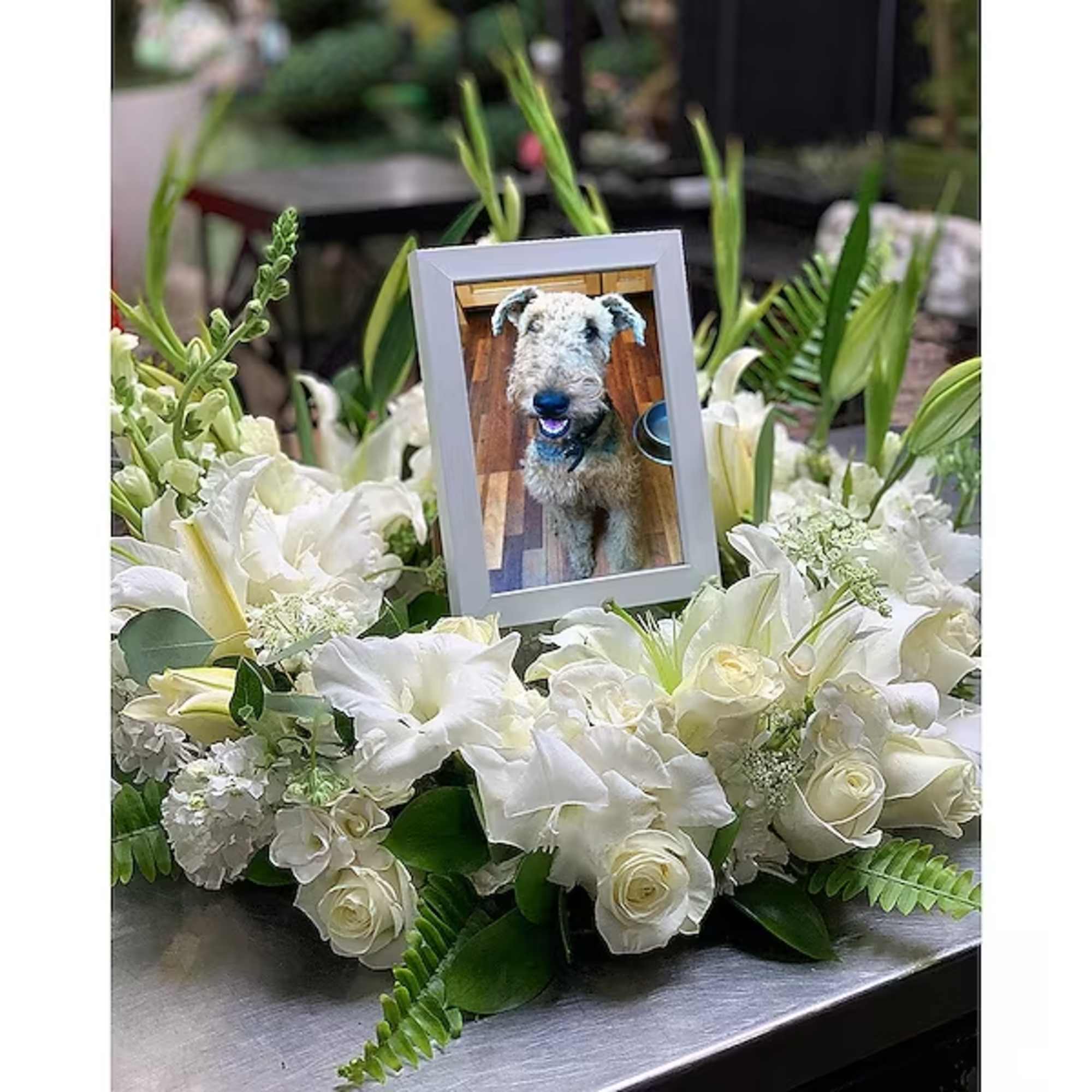 This photo remembrance is perfect for a Celebration of Life, or even