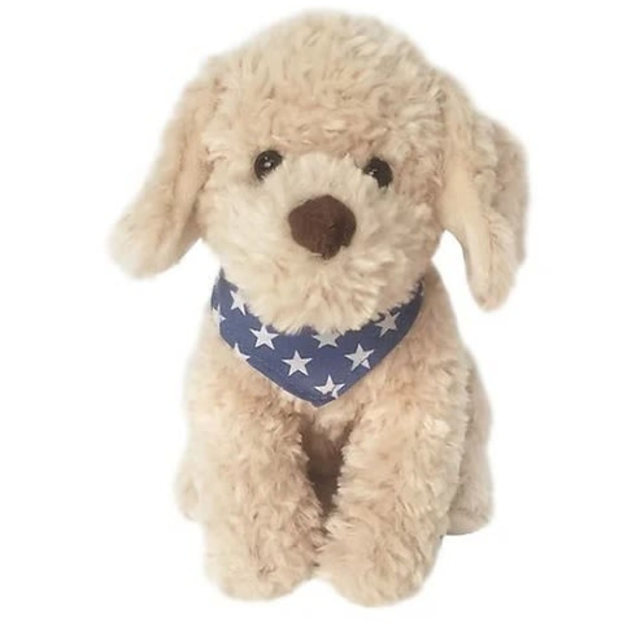 Meet Bentley the Golden Doodle! He is sure to put a smile