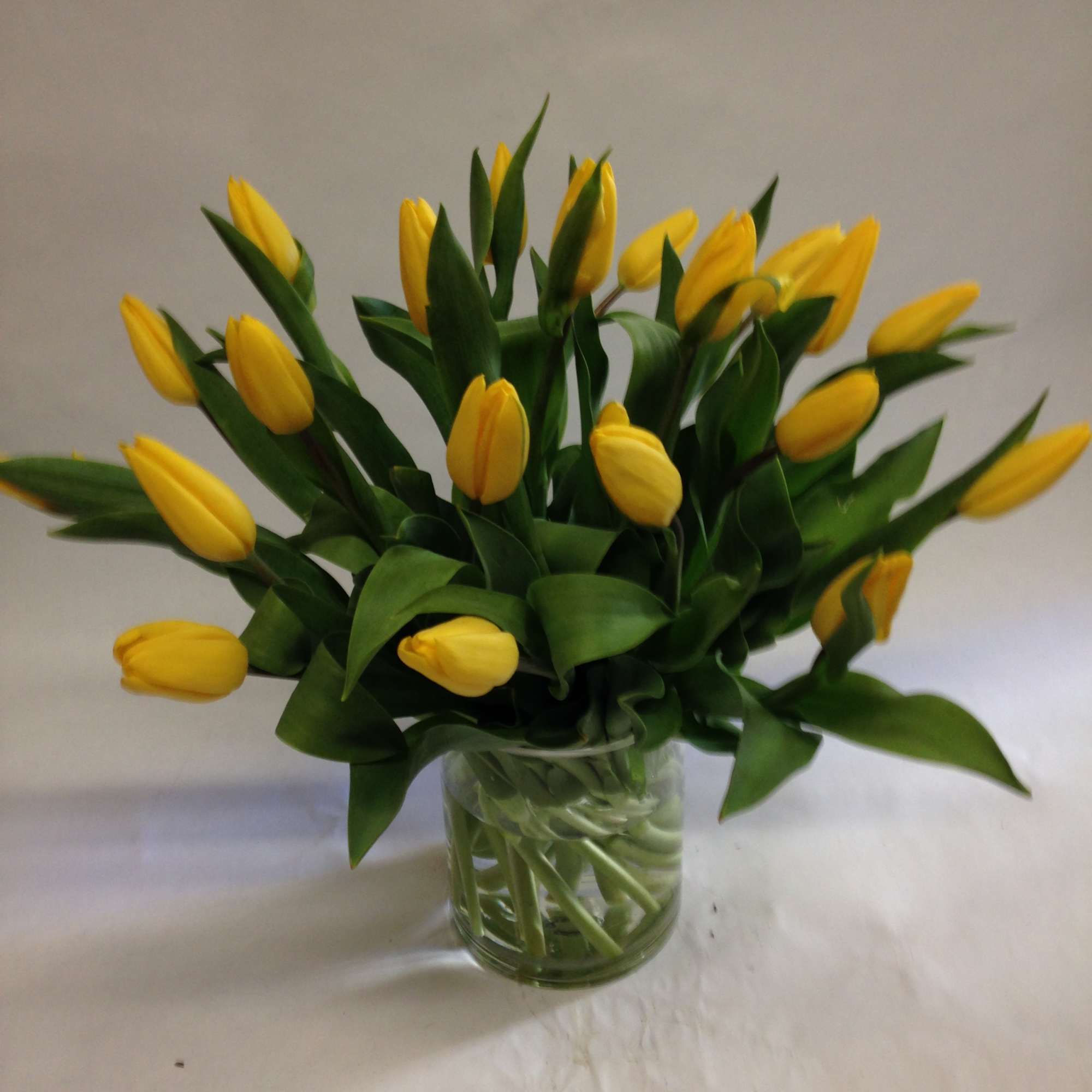30 stems of locally grown tulips in a vase. (Some flowers may