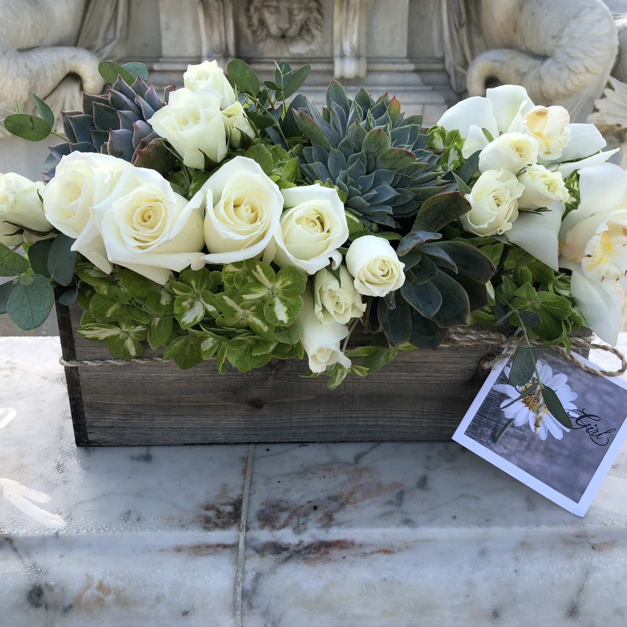 Succulents and soft white roses with cymbidium orchids transform this into a