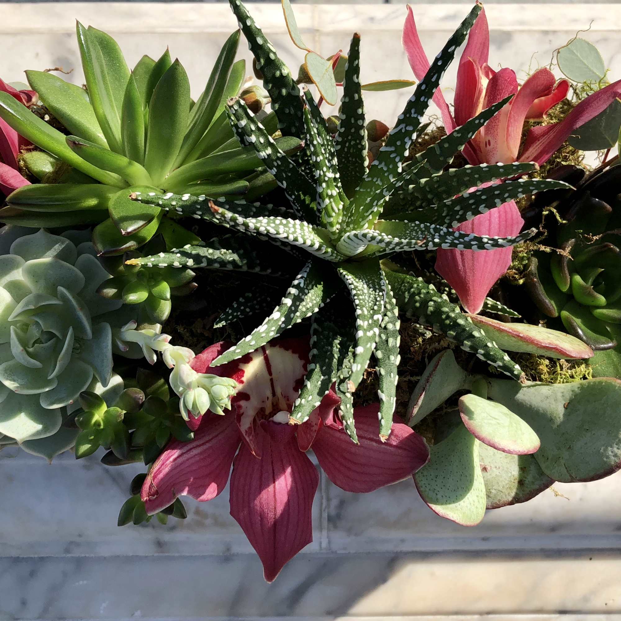 This long wooden box is filled with succulents, pretty accents and burgundy
