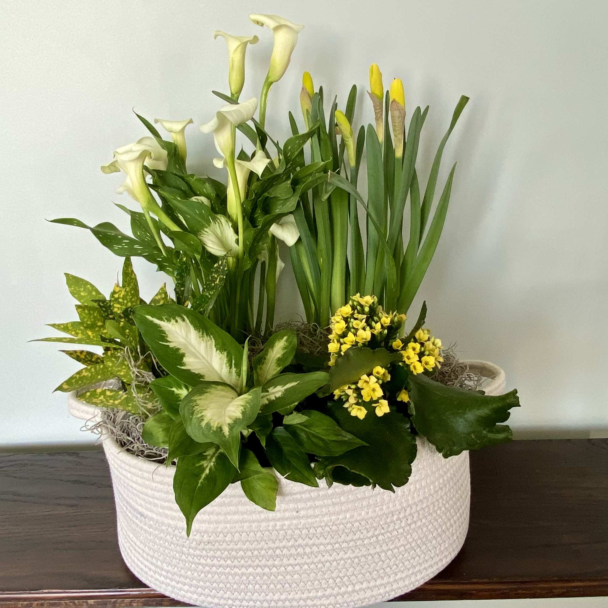 A cheerful plant basket that includes pleasant greenery and blooming plants. 