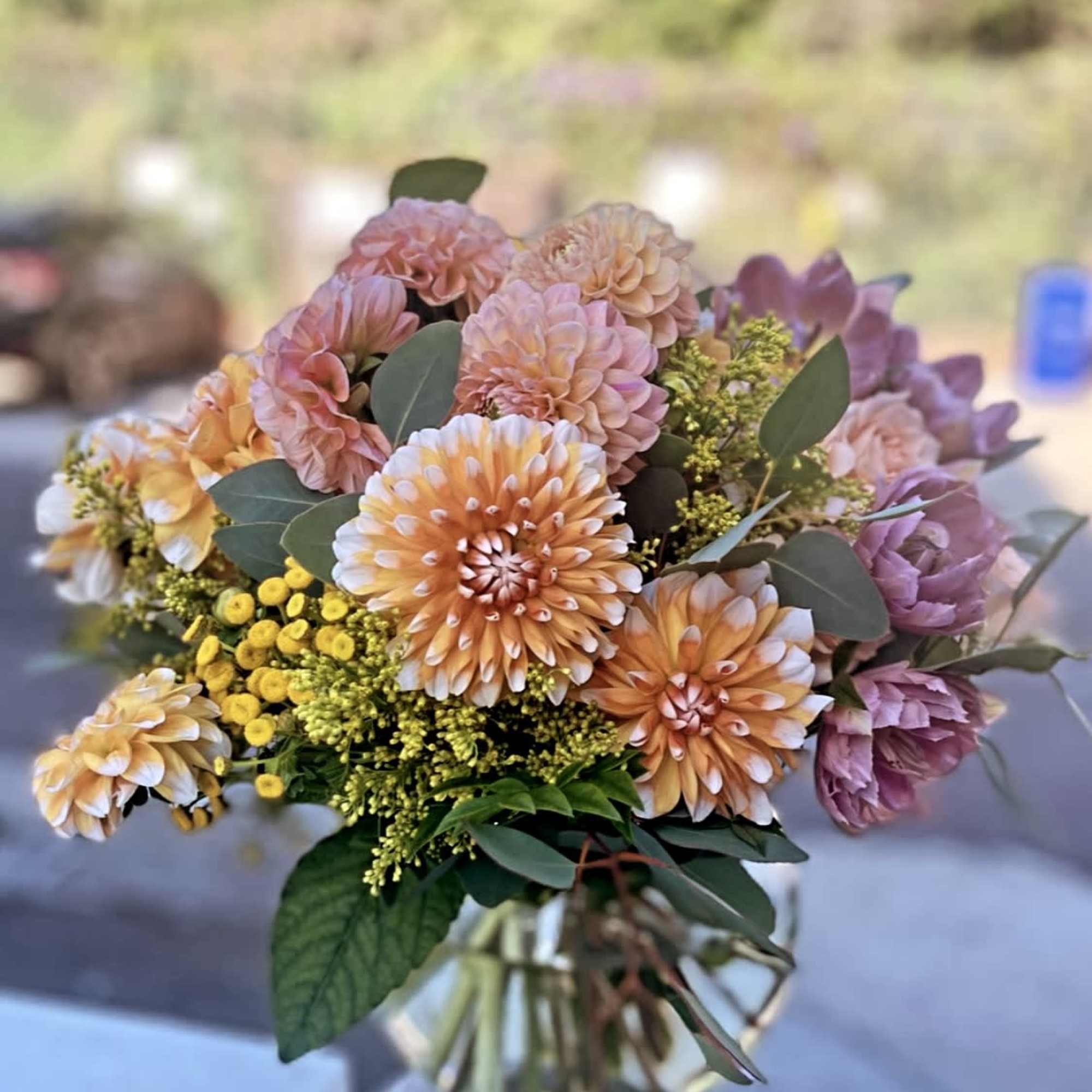 Bold, vibrant, and full of seasonal charm &mdash; Plum Dahlia is a