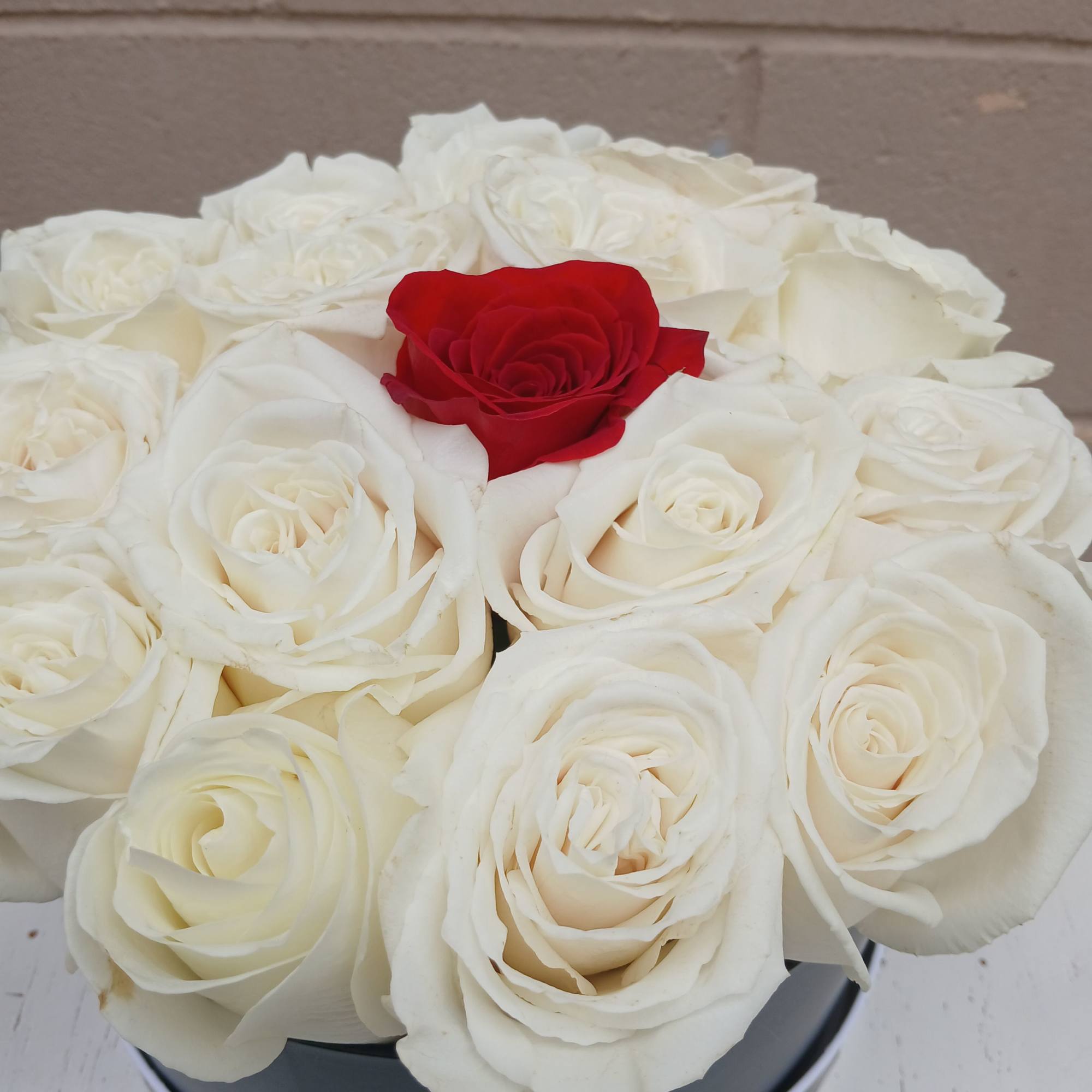 A beautifully arranged box of white roses and a red rose. 