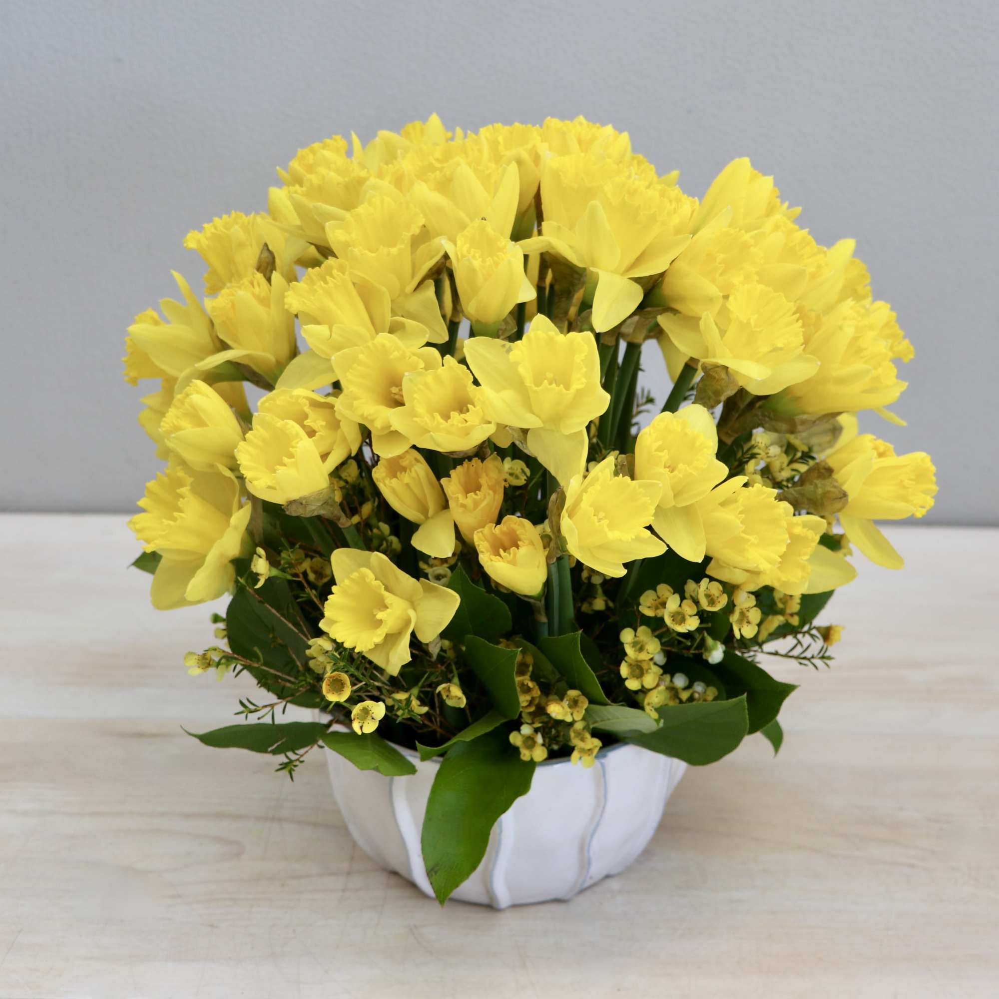 Looking to brighten up someone's day? Try our new daffodil special. With