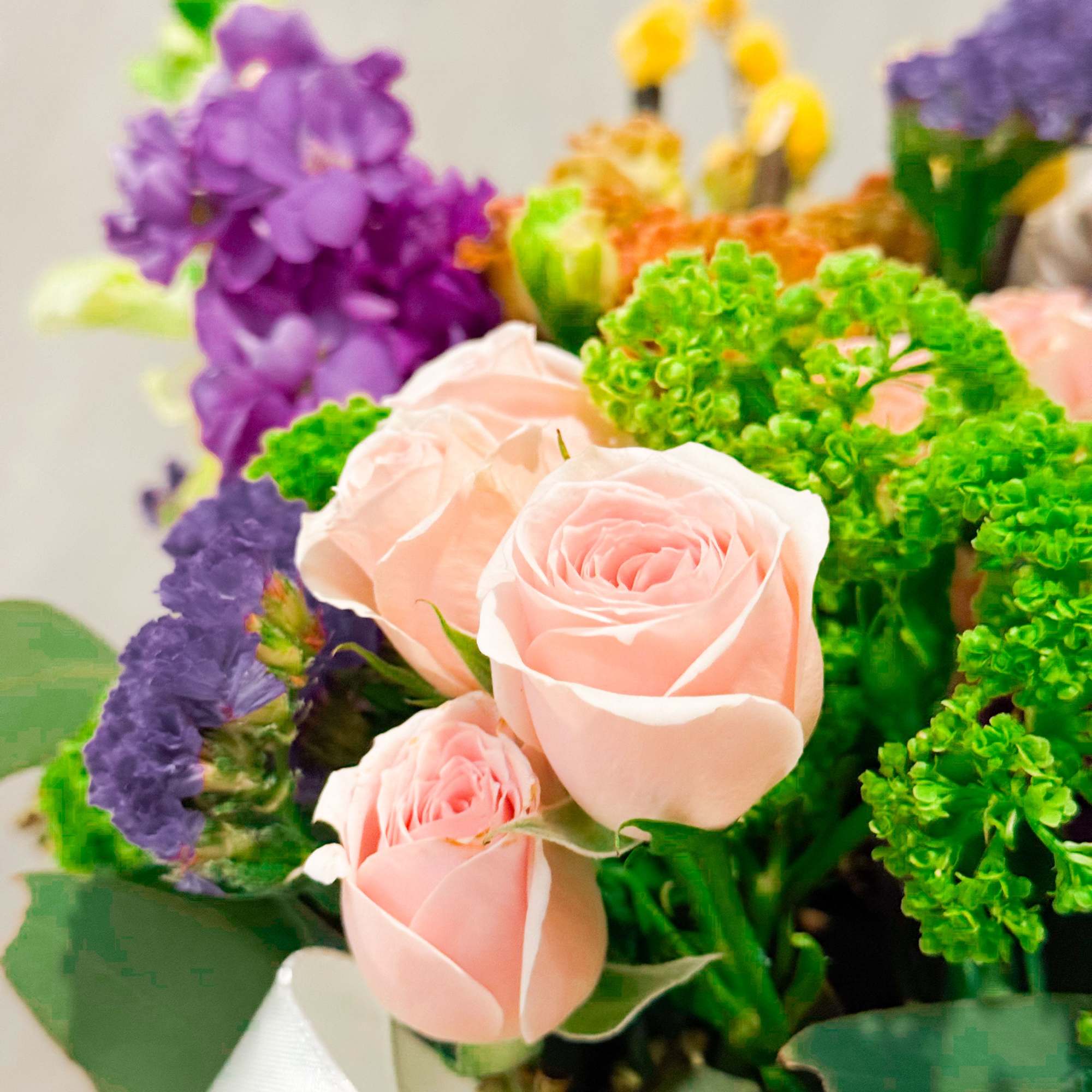 Say hello to Bounty Hampy — a full-on floral moment. This one’s Say hello to Bounty Hampy — a full-on floral moment. This one’s