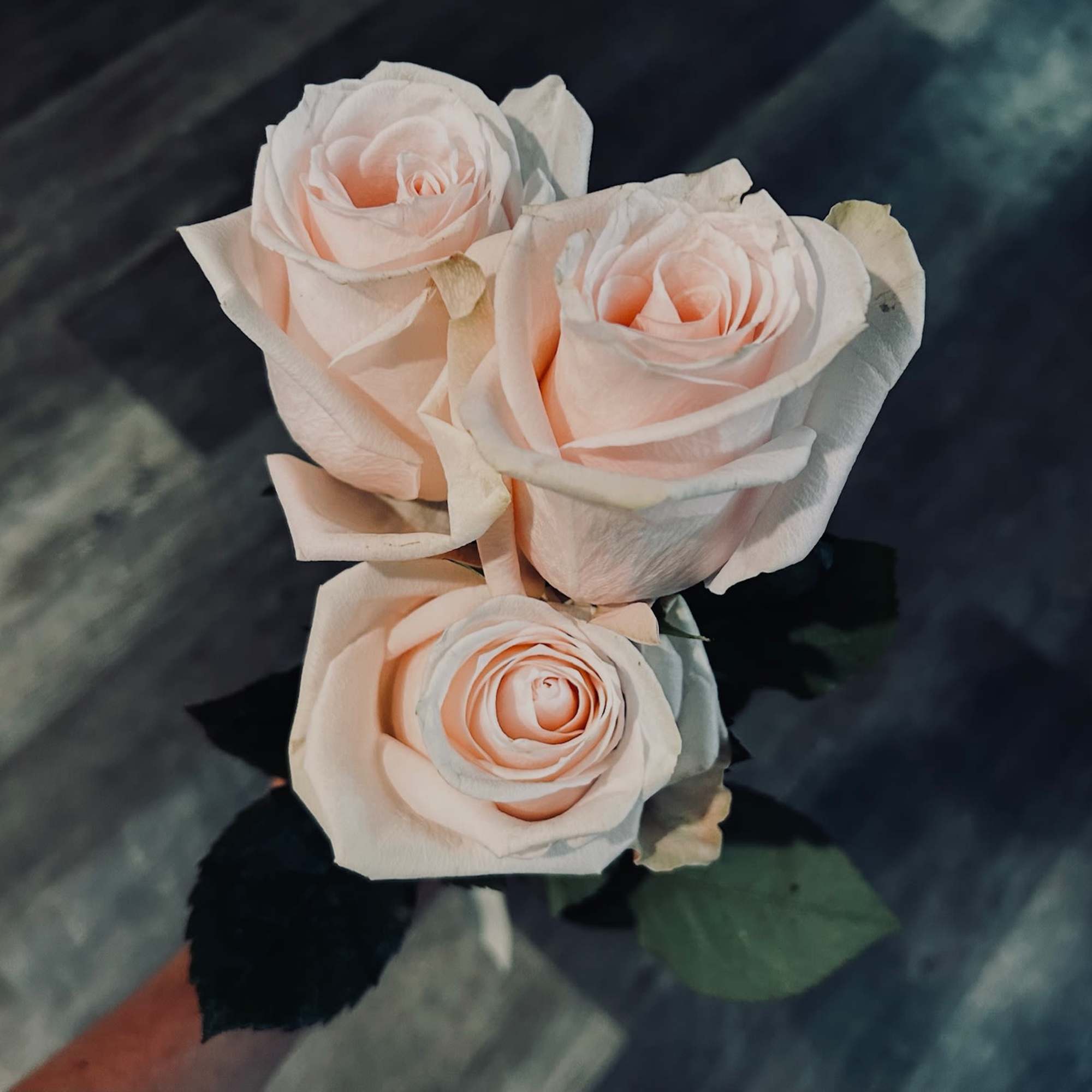 3 fresh cut roses of your color choice, delicately prepared and arranged 3 fresh cut roses of your color choice, delicately prepared and arranged