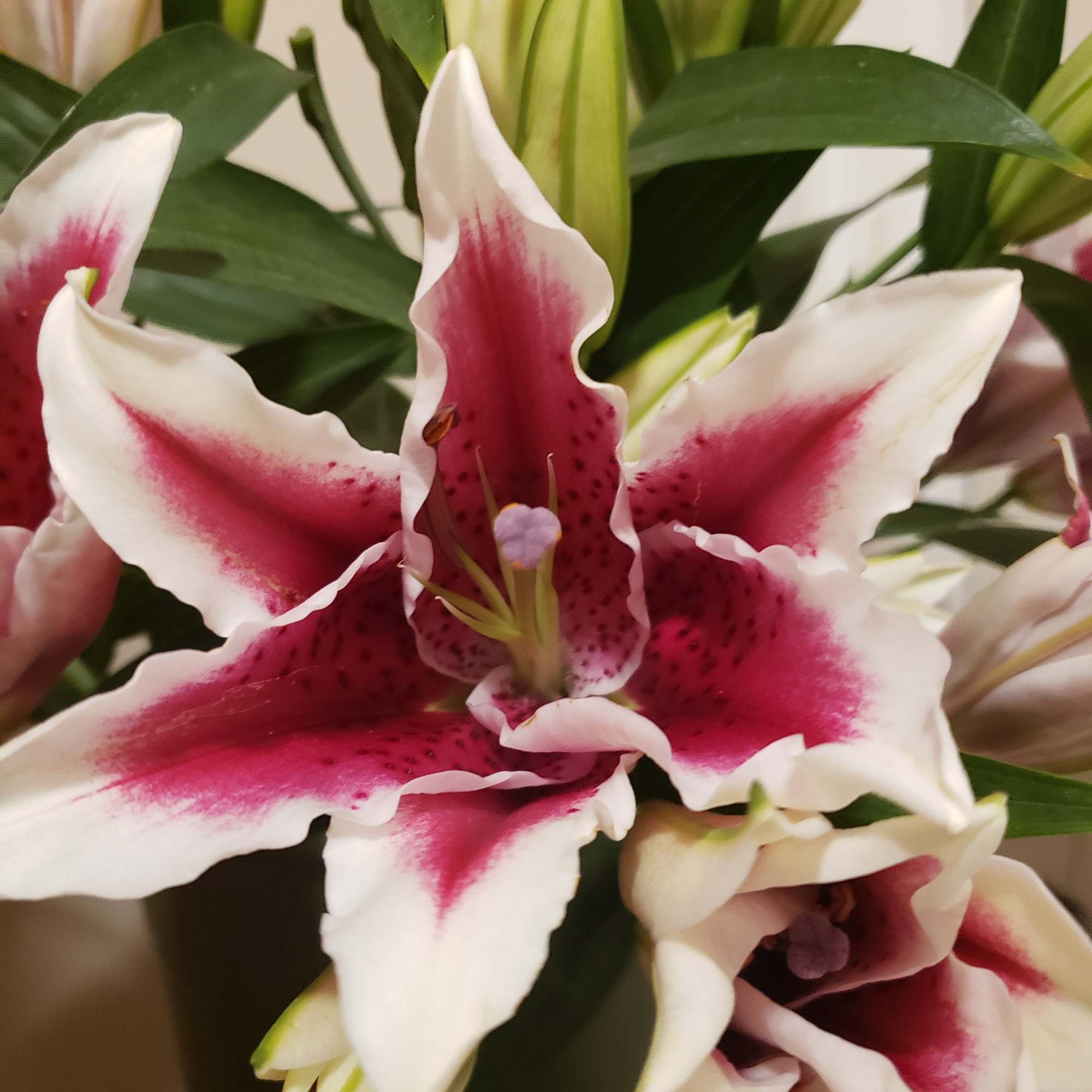 
Designers choice!
Stargazers &amp; floral variety designed in a glass vase.
