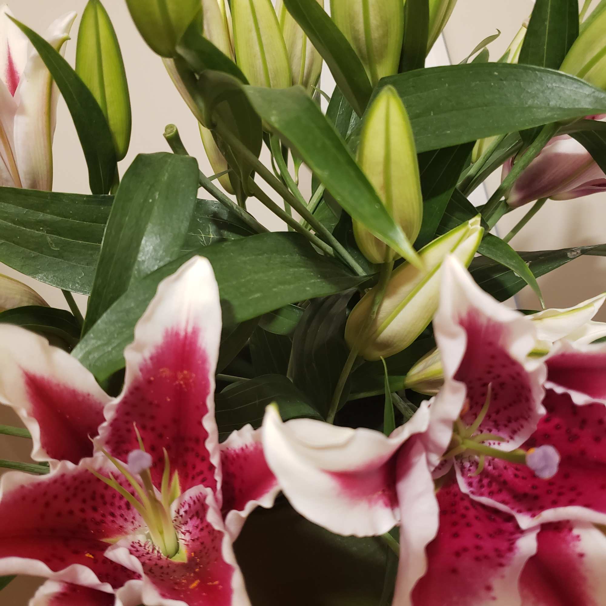 
Designers choice!
Stargazers &amp; floral variety designed in a glass vase.
