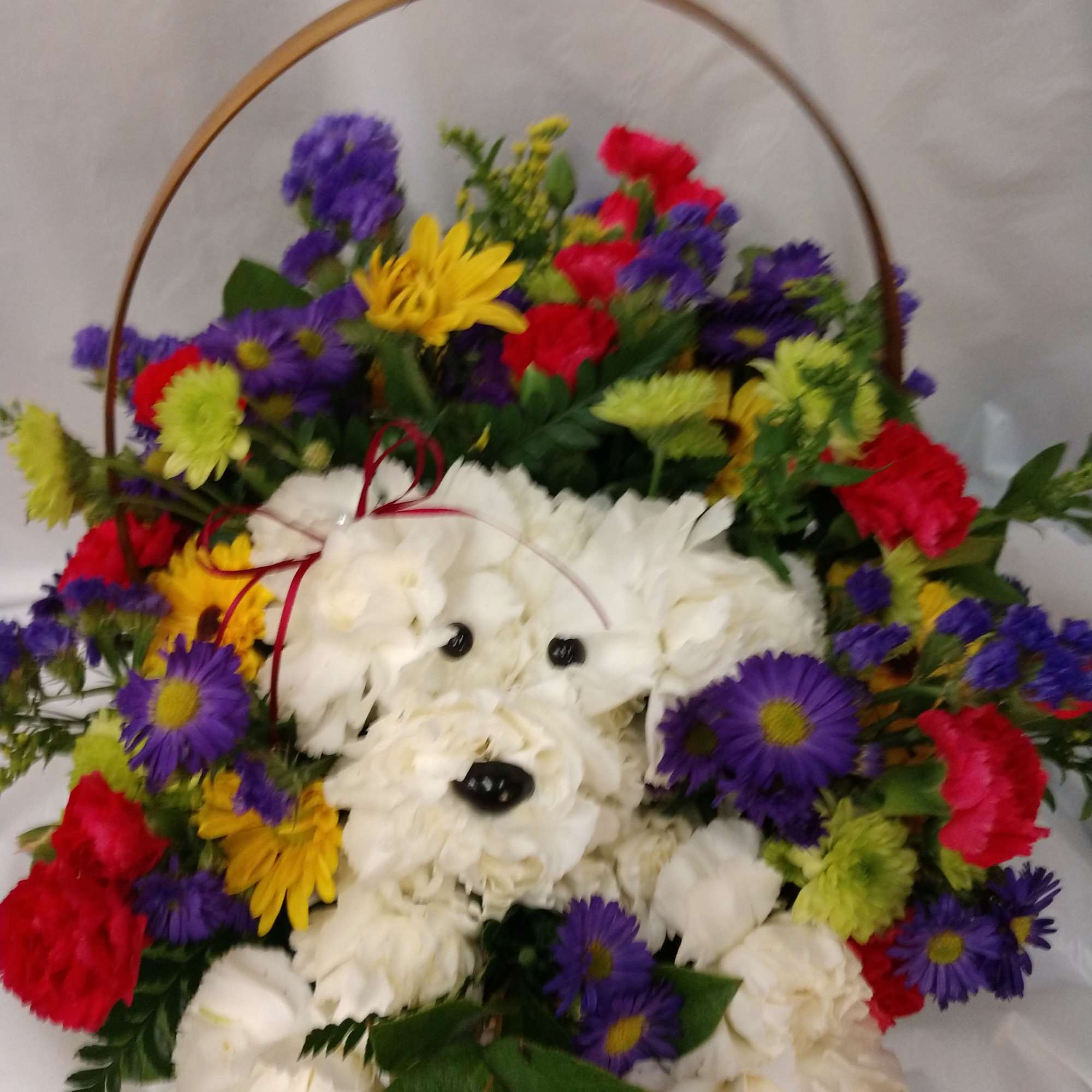 DESIGNER CHOICE of FLOWERS. Unleash smiles with our unique and fun a-DOG-able DESIGNER CHOICE of FLOWERS. Unleash smiles with our unique and fun a-DOG-able
