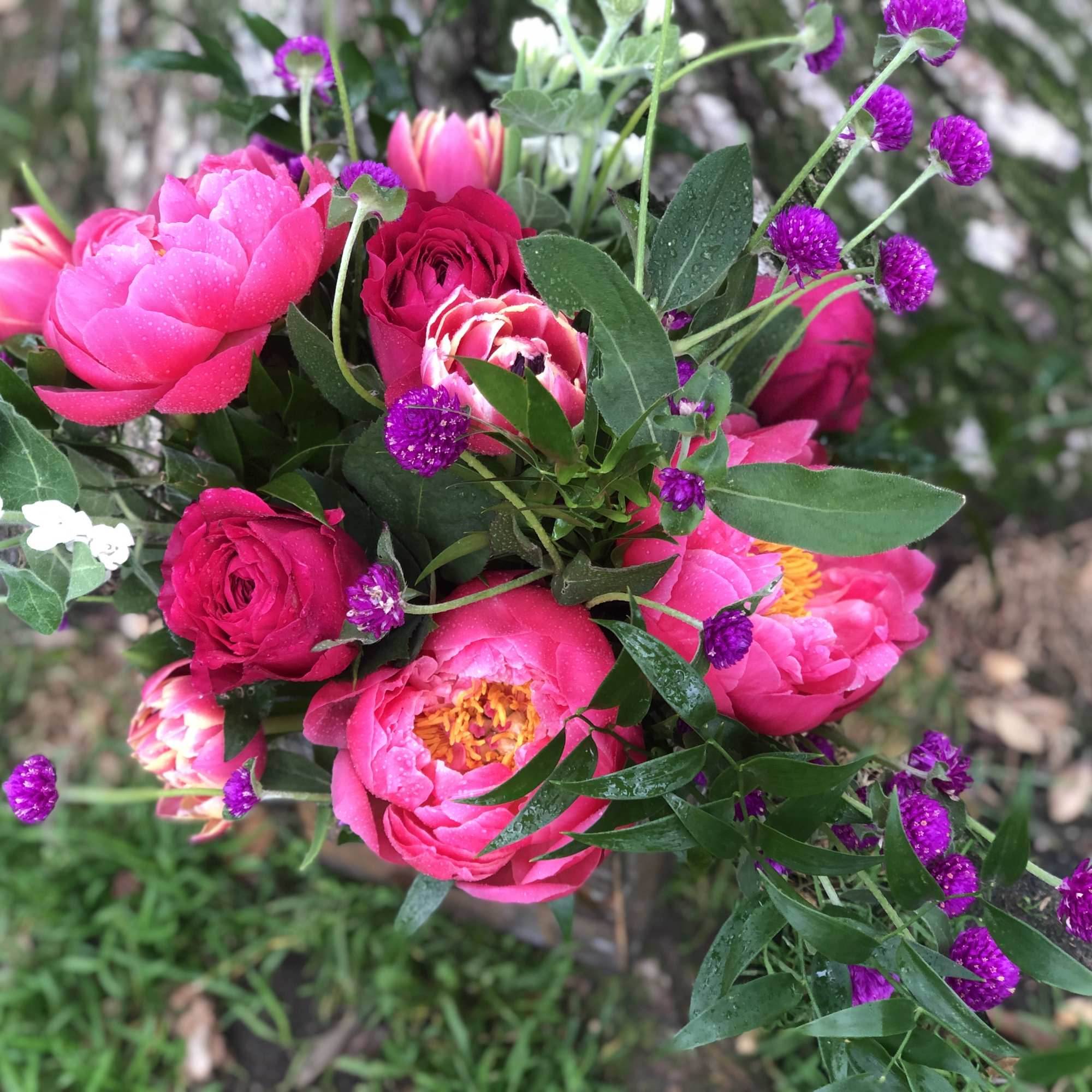 I took this photo in the nature so you can see just