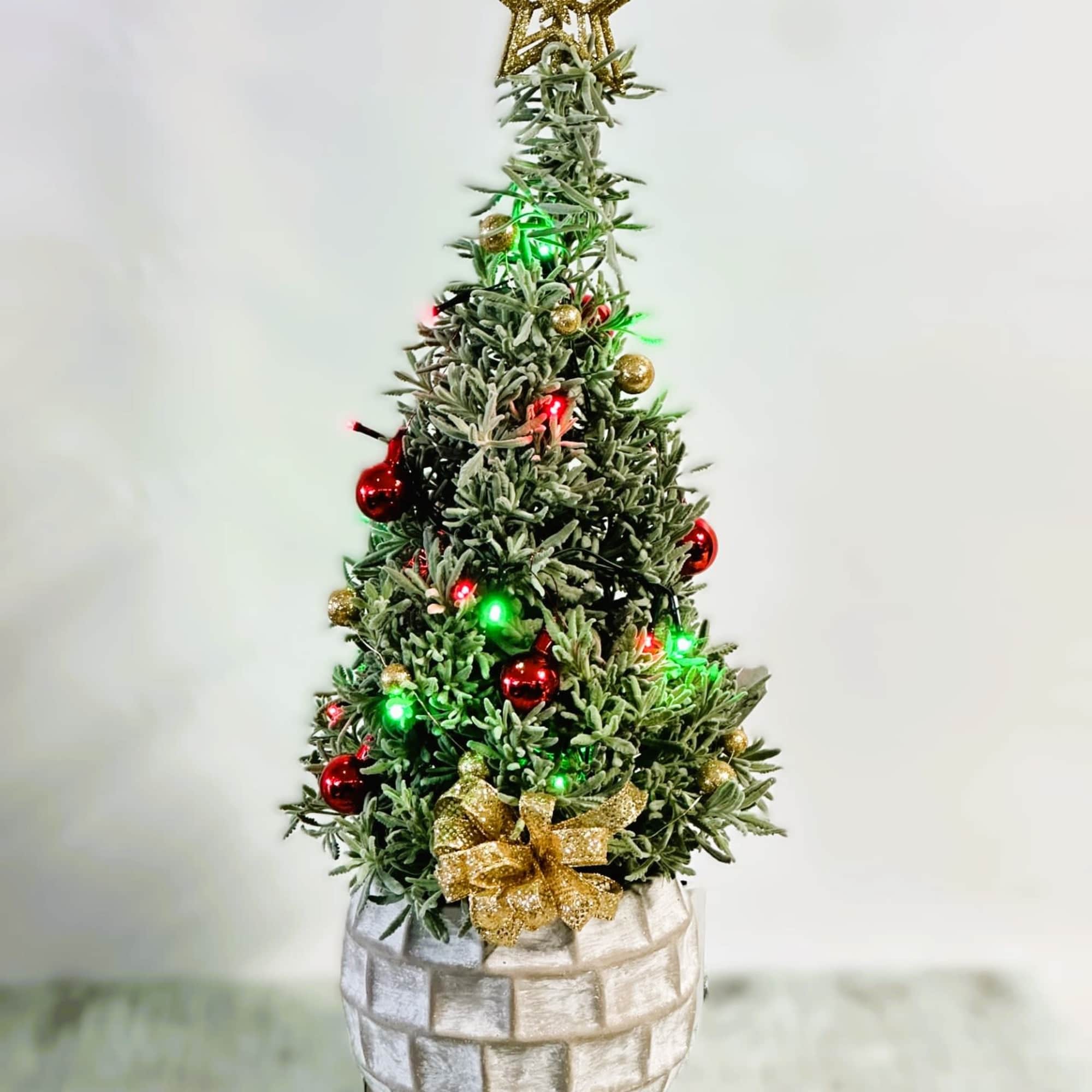 Holiday tree. Lavender tree decorated with lights, ornaments and a gold bow. Holiday tree. Lavender tree decorated with lights, ornaments and a gold bow.