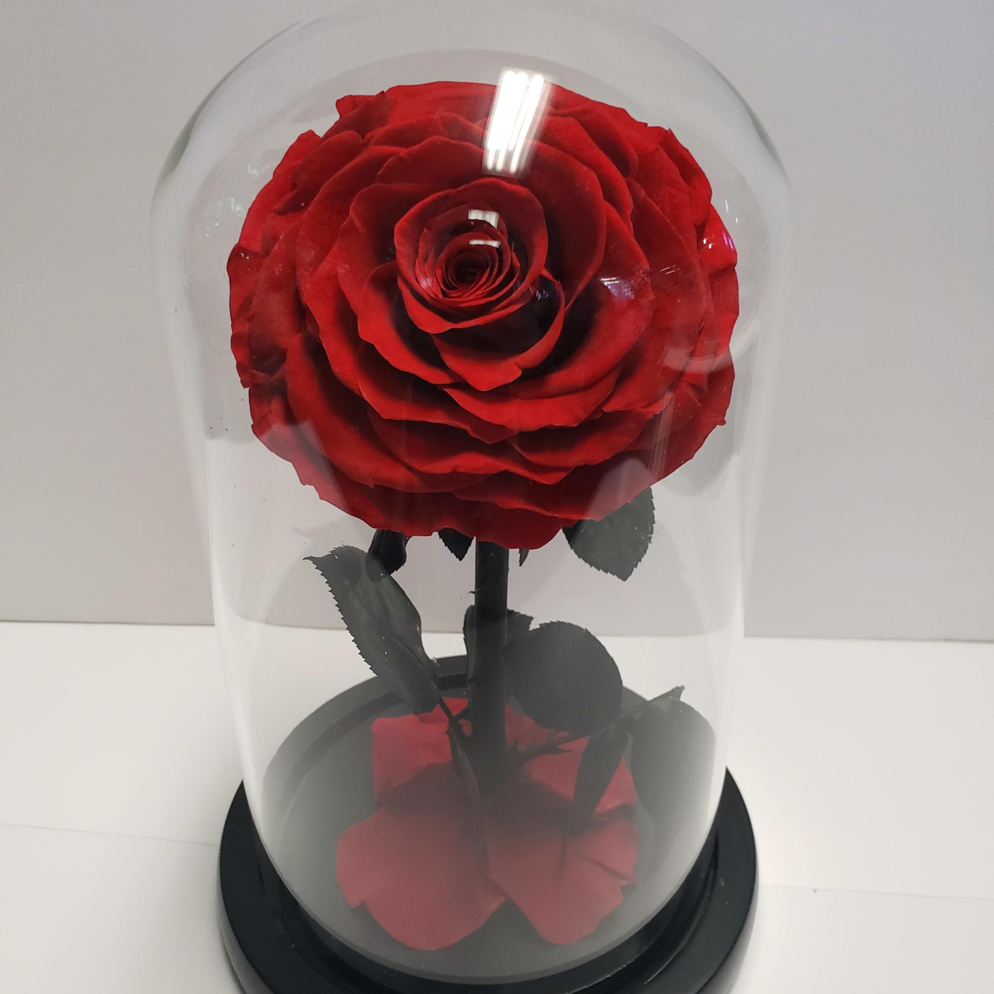 It symbolizes a beautiful love story and represents "eternal love". Charming roses
