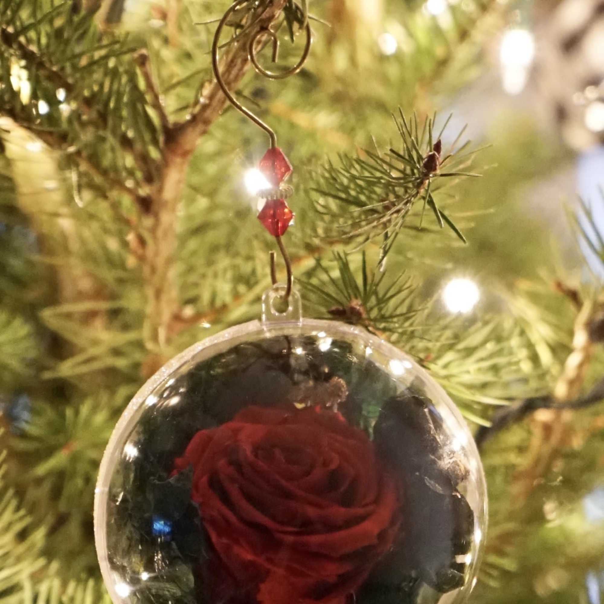 It&rsquo;s The Most Beautiful Time Of The Year!

Decorate your Christmas Tree with