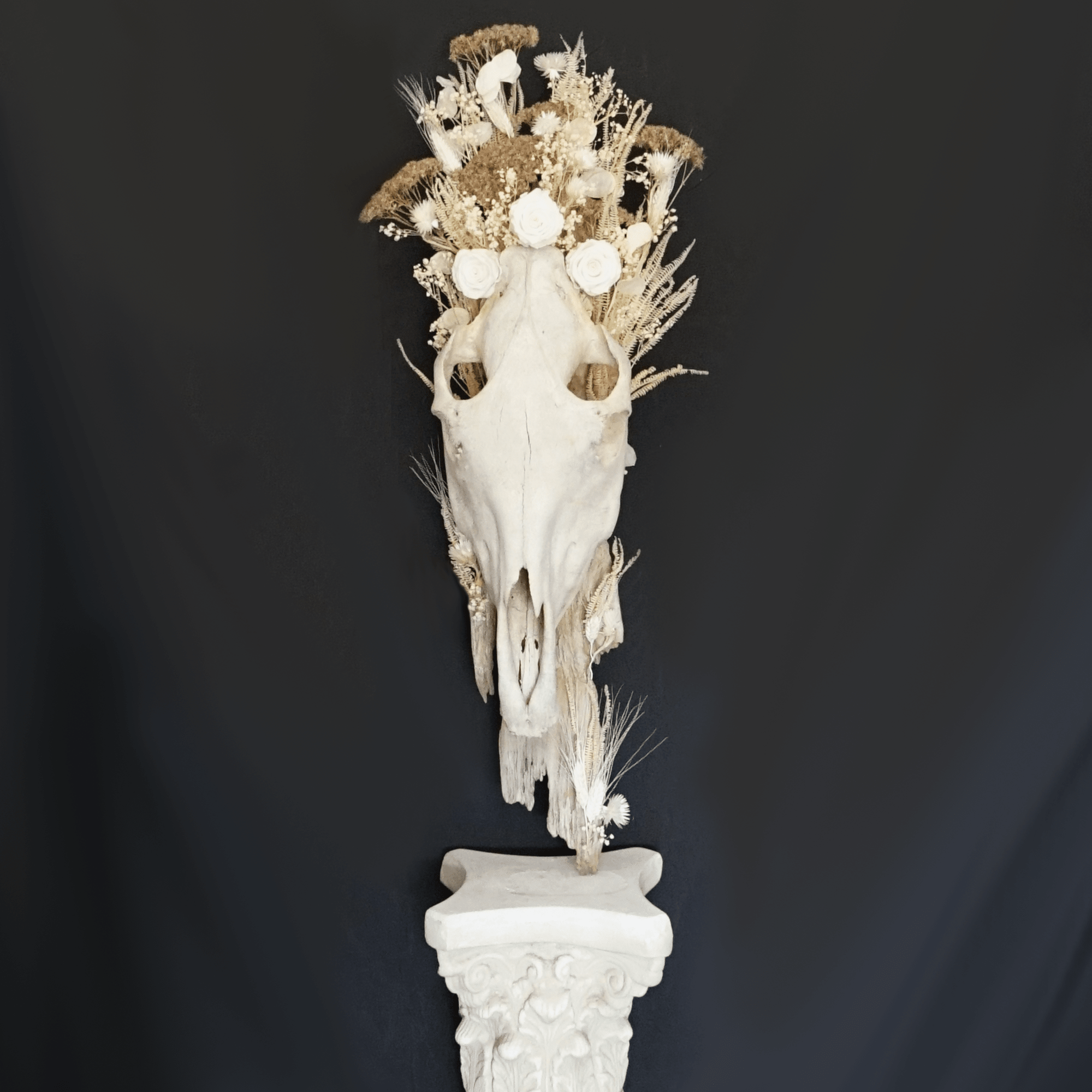 Horses are spirit animals that hold our soul in their eyes. They