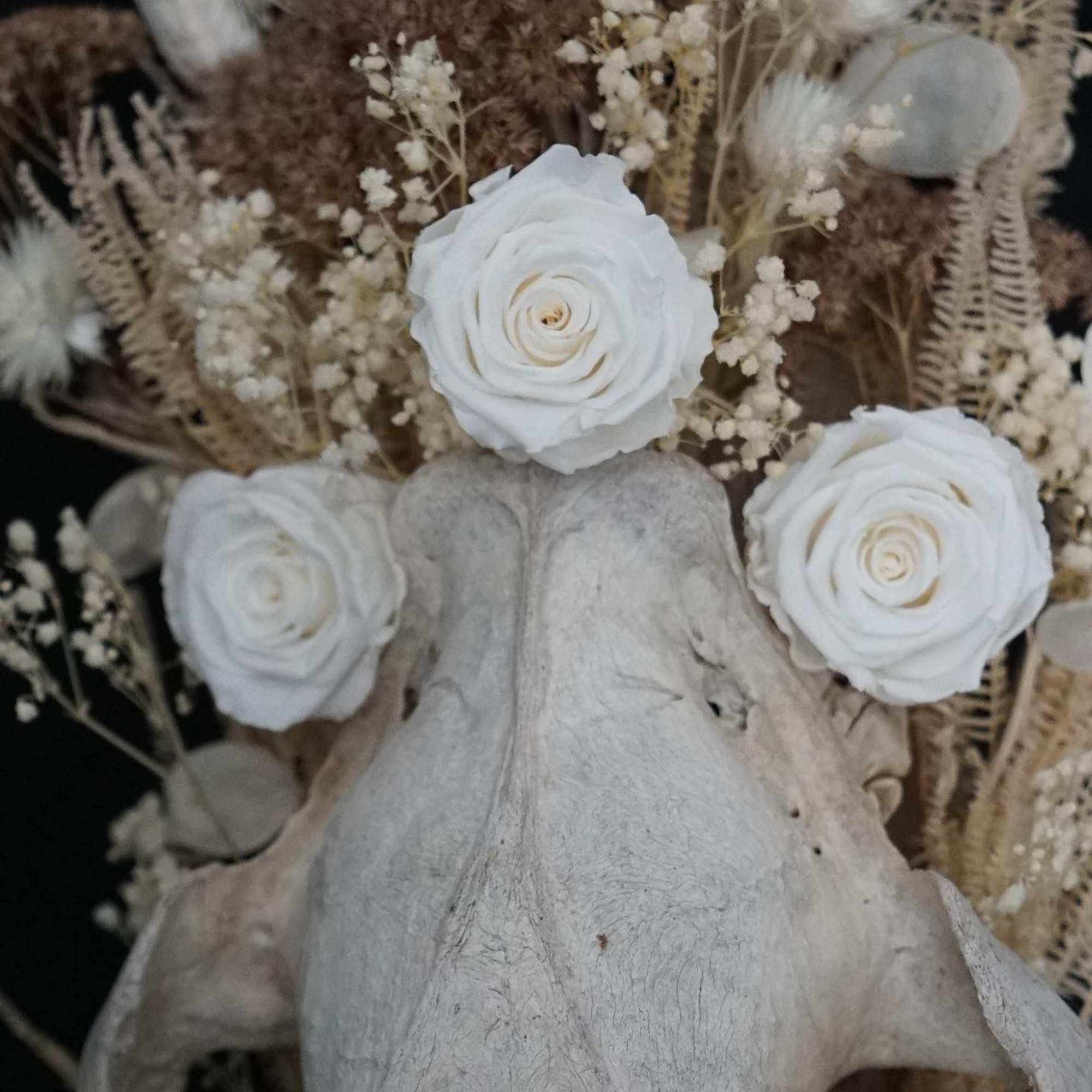 Horses are spirit animals that hold our soul in their eyes. They