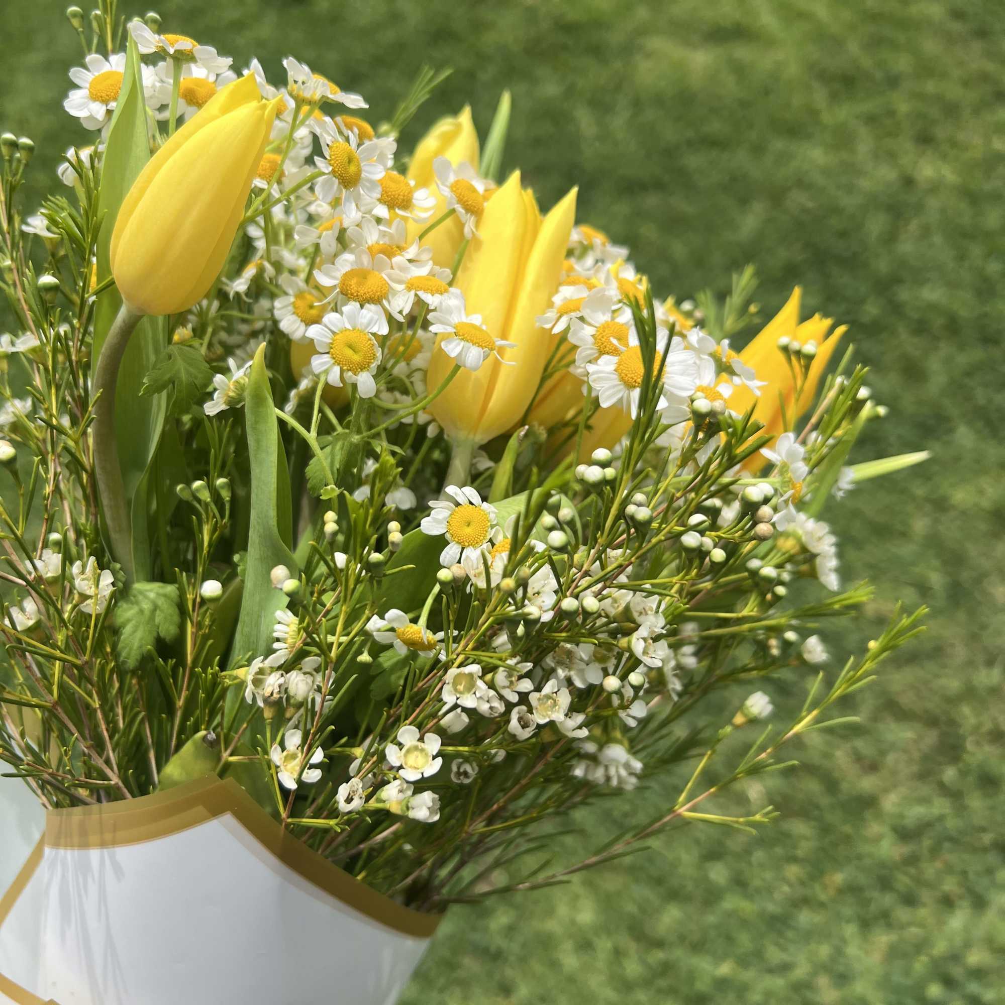 Sweet yellow Tulips, Daisies, and Waxflower are arranged in a handtied bouquet
