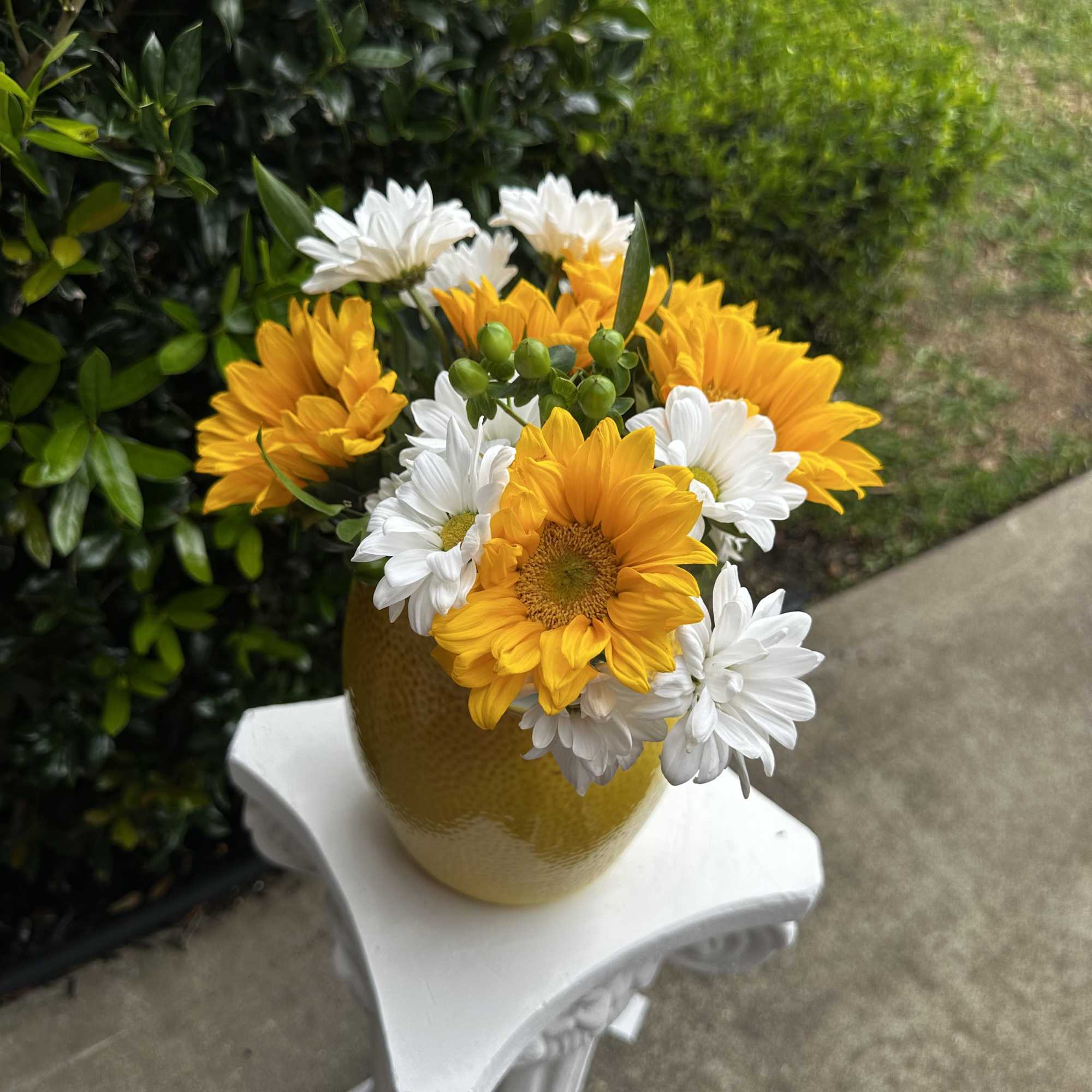 Pitcher full of Sunshine