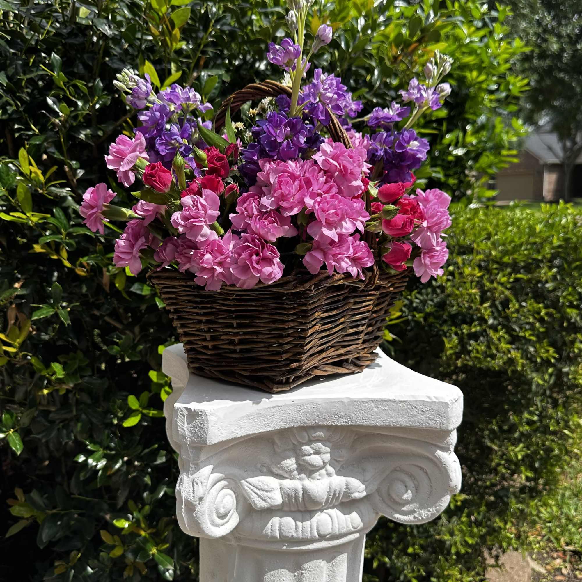 Basket in bloom